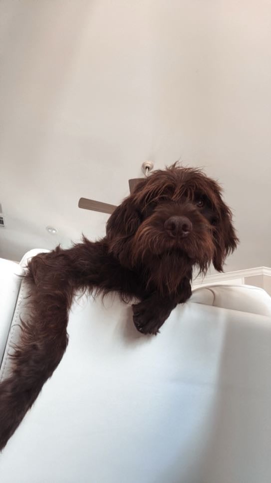 24748147-354D-4B55-A5FD-6886E4BD6209