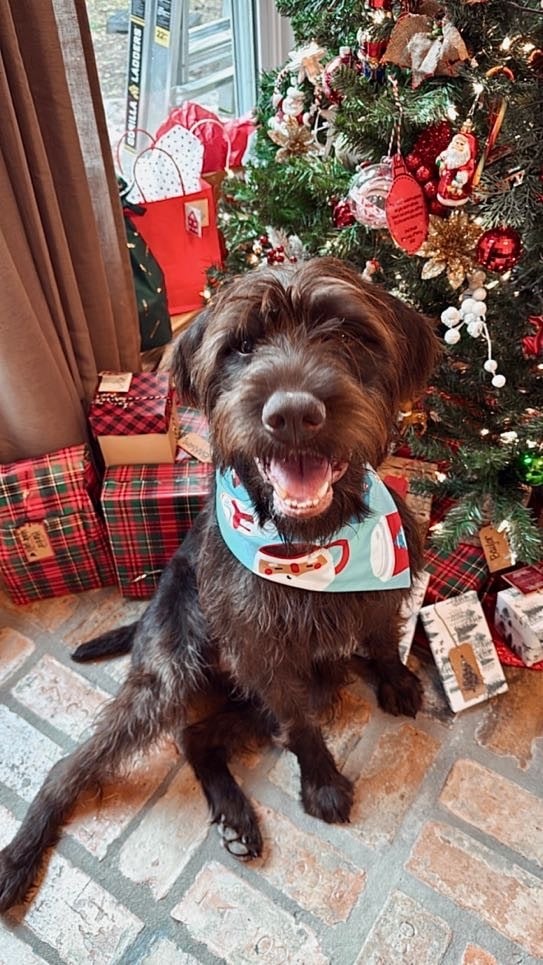 29D63BA3-962C-4548-B1AA-C8BC61886240