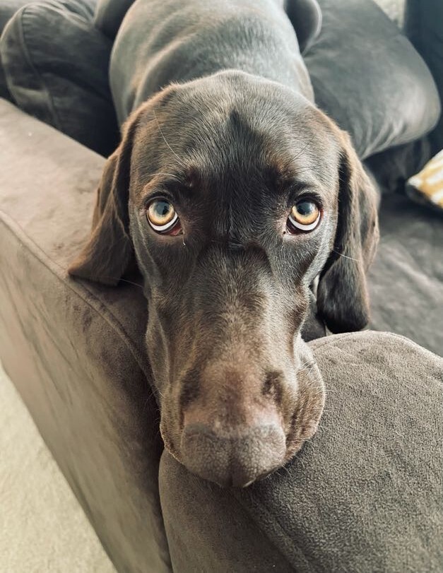 67702051488__6B1F2CCD-A058-4E56-A5DD-A33F1E9C09D5