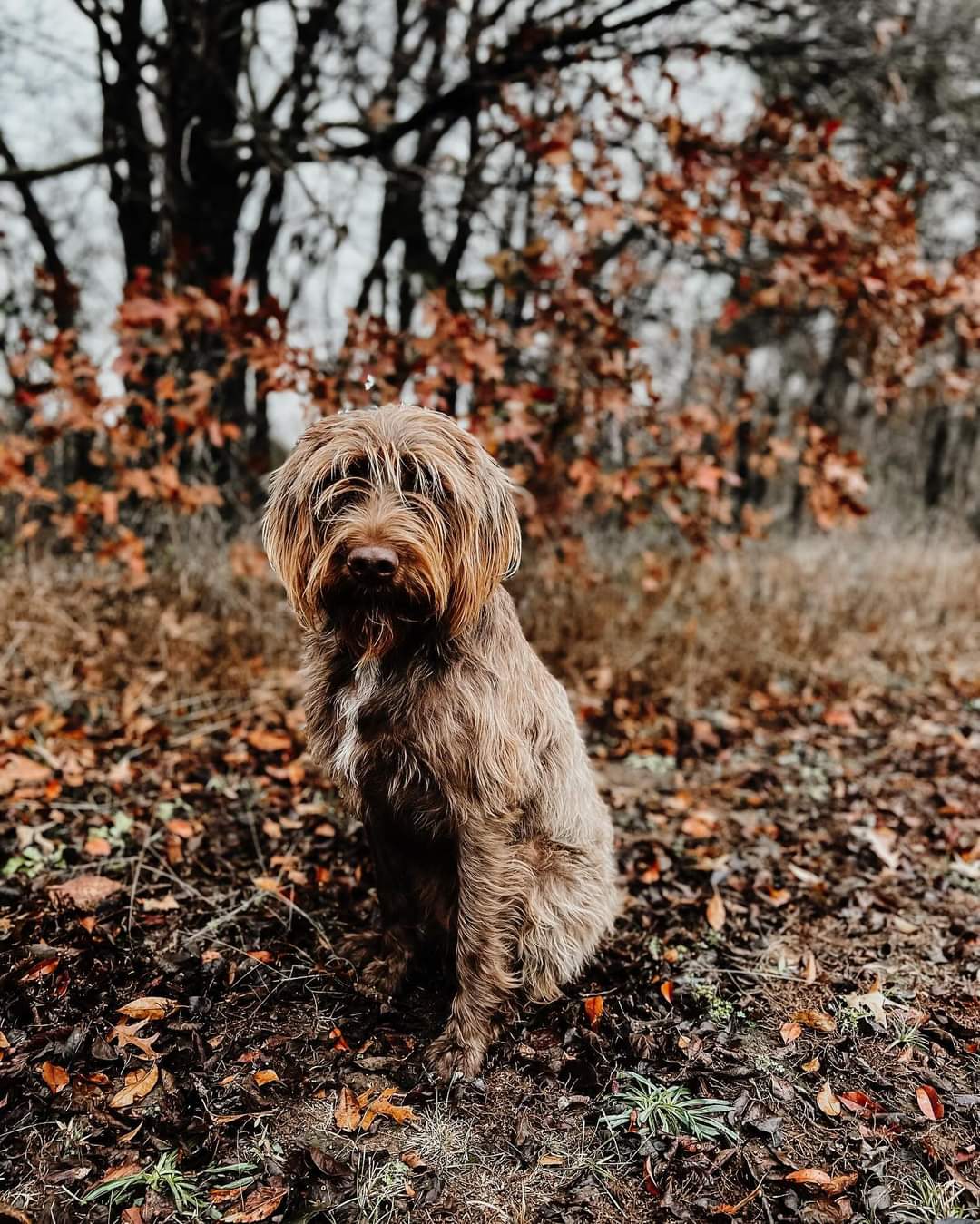 FB_IMG_1703267968628