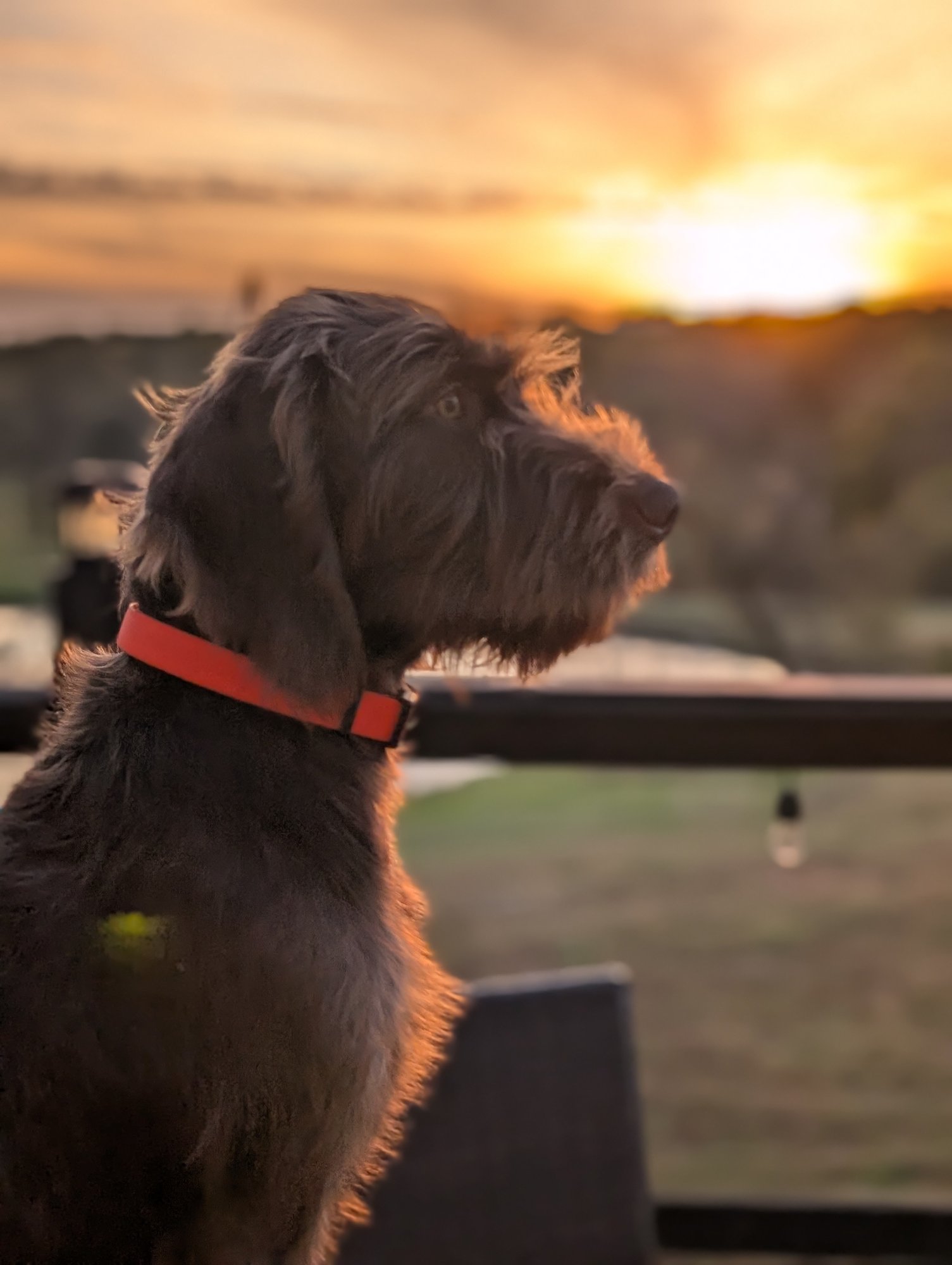 PXL_20251023_231857568.PORTRAIT