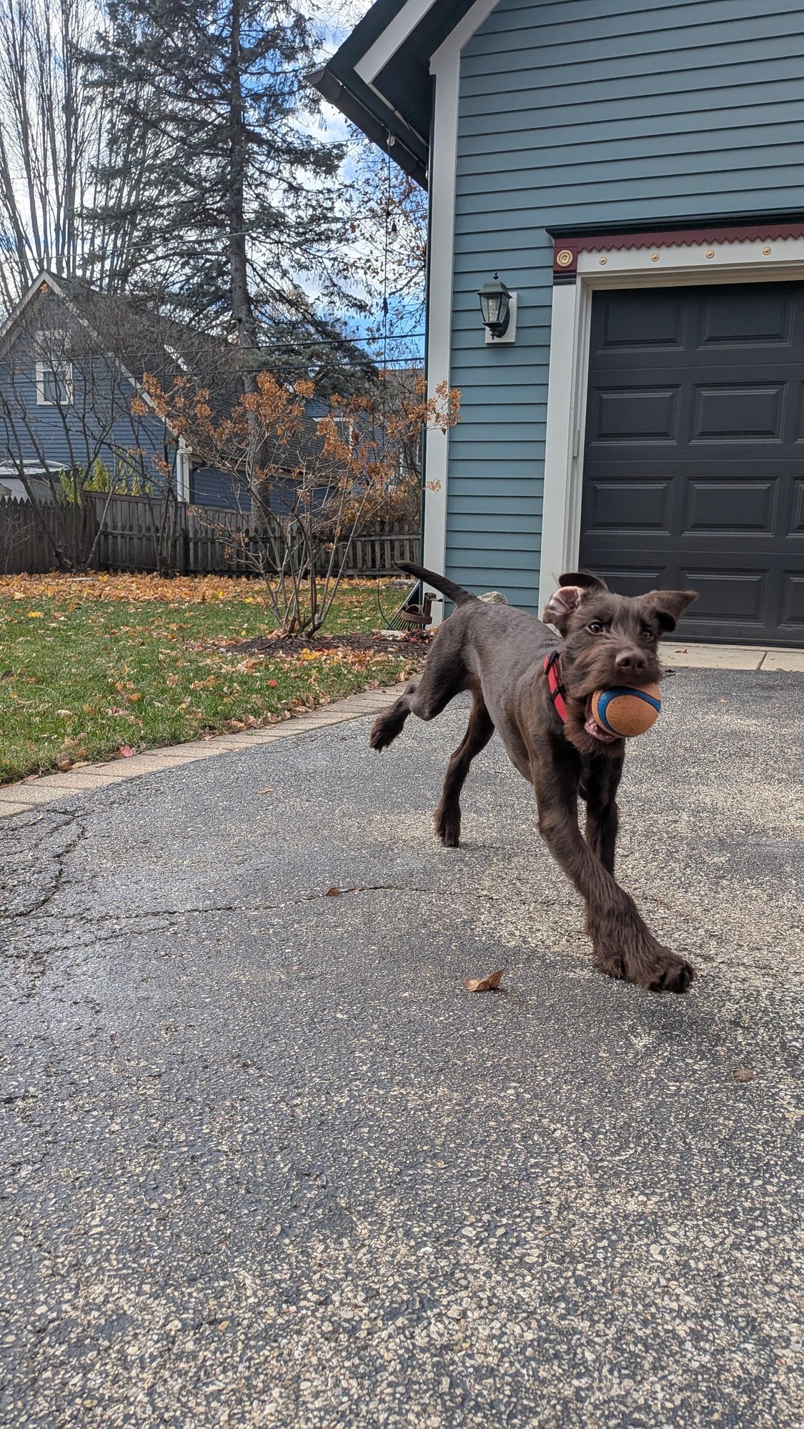 PXL_20251127_181749871