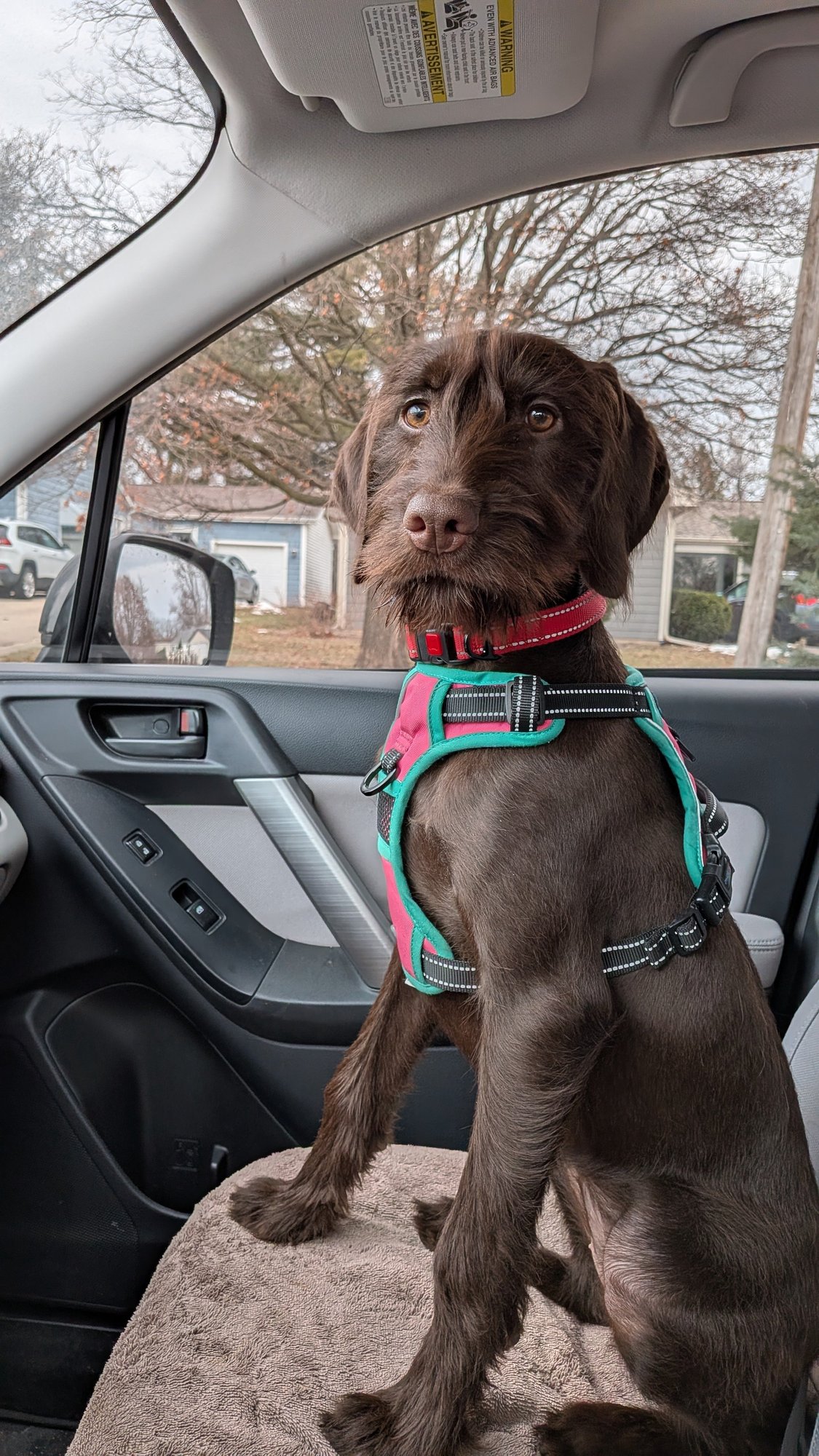 PXL_20251220_194121515