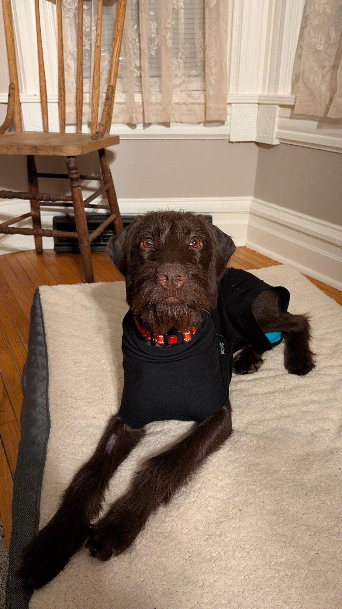 PXL_20260130_233607727