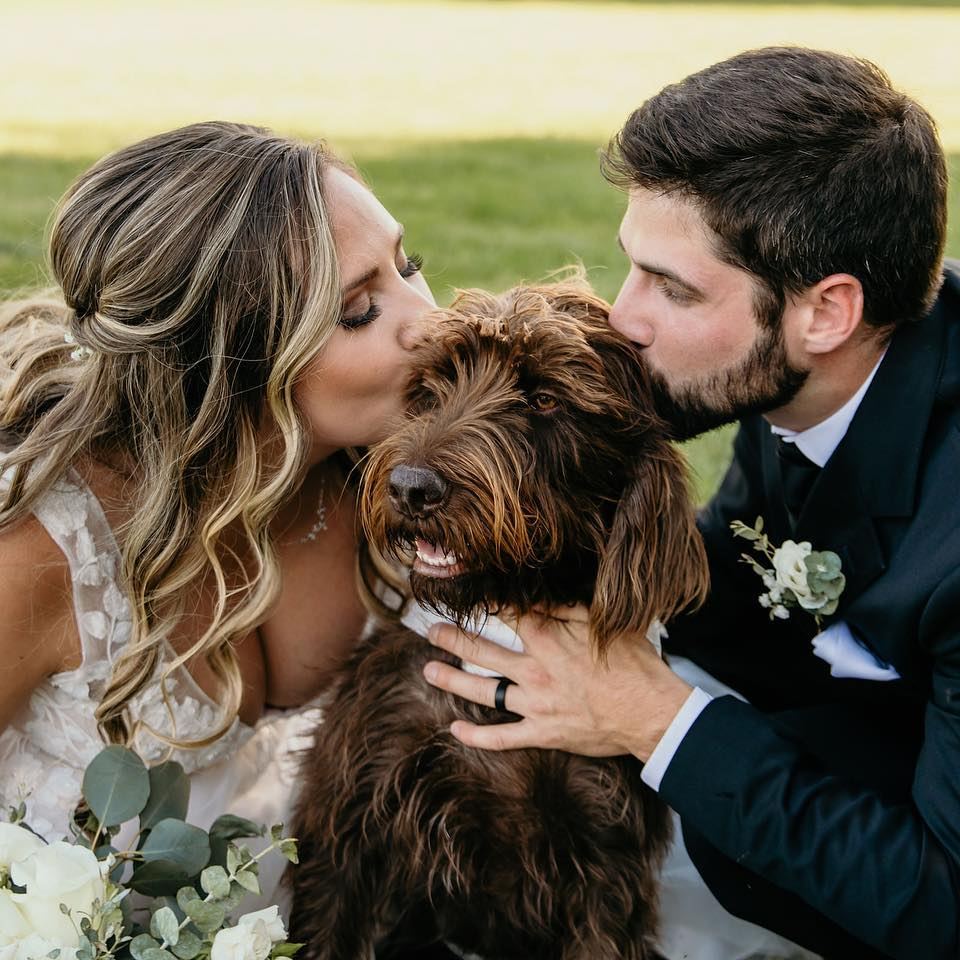 329321830_538532164757138_8458194710843146124_n