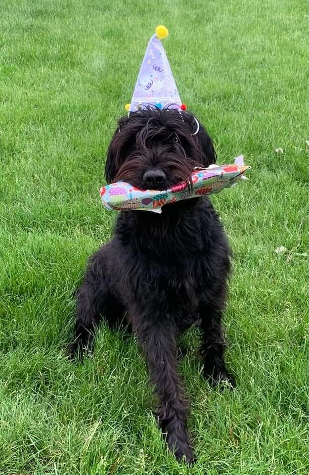 FB_IMG_1653685492160