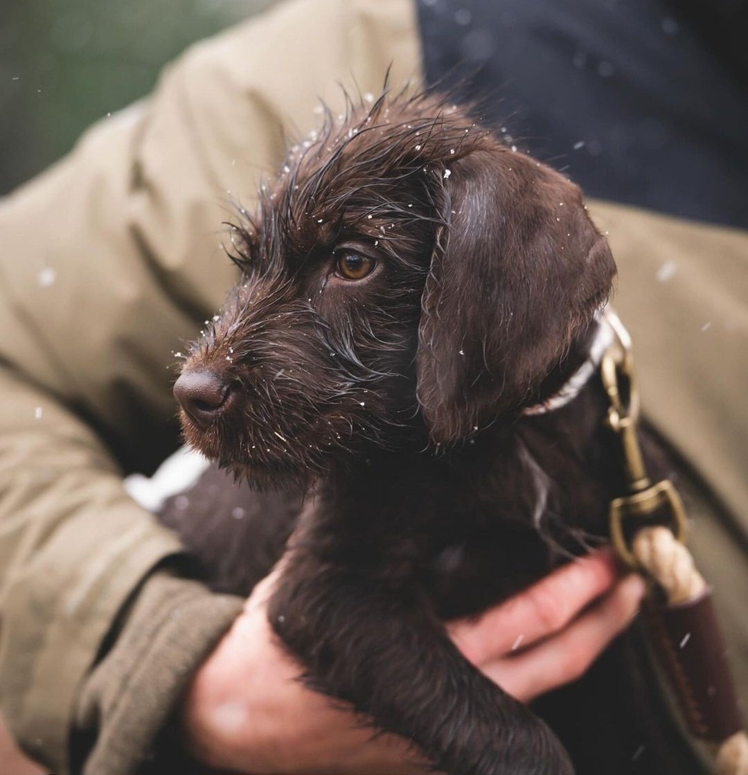 Screenshot_20240129_135304_Instagram