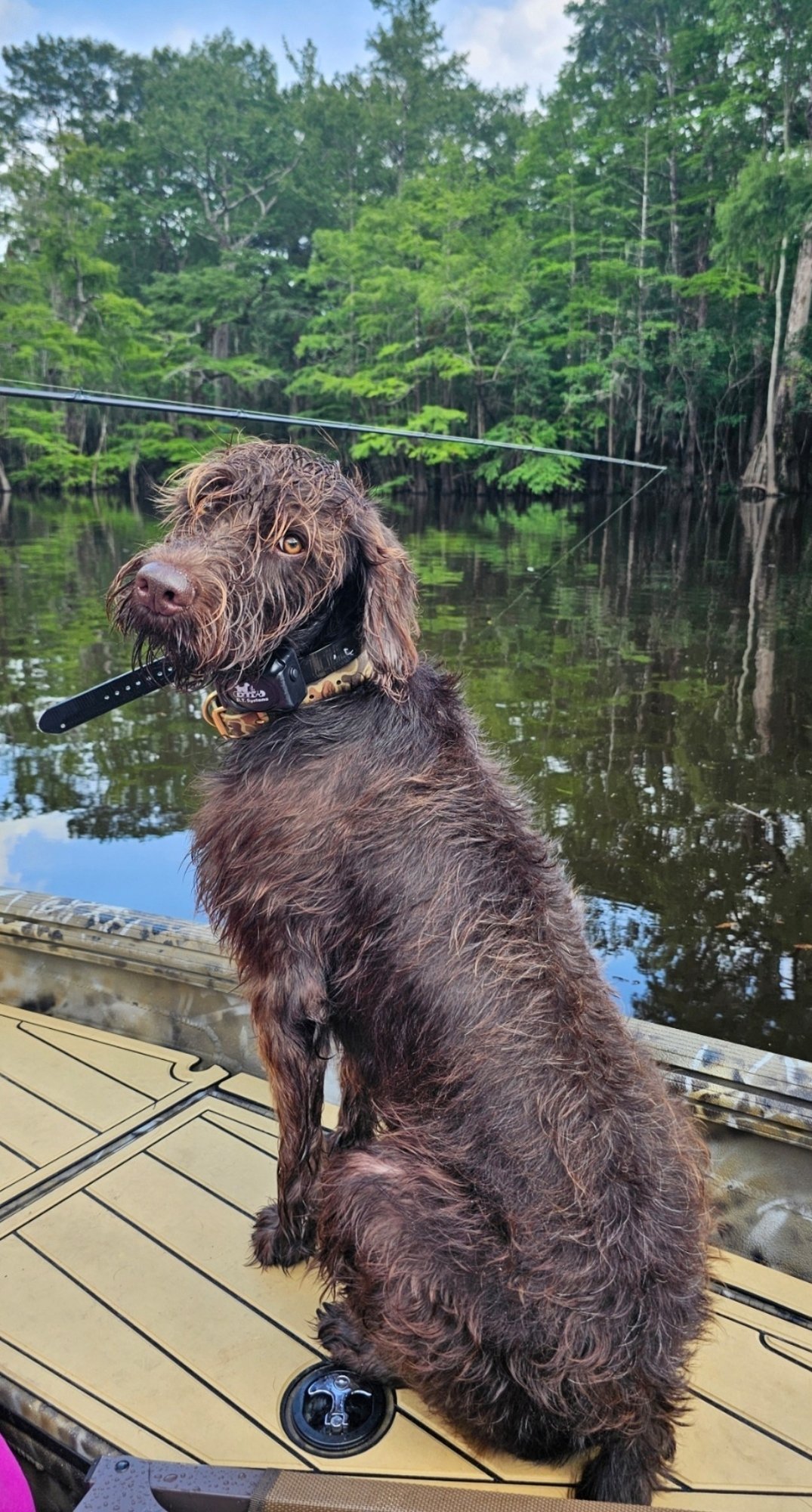 Screenshot_20250818_144308_Messages