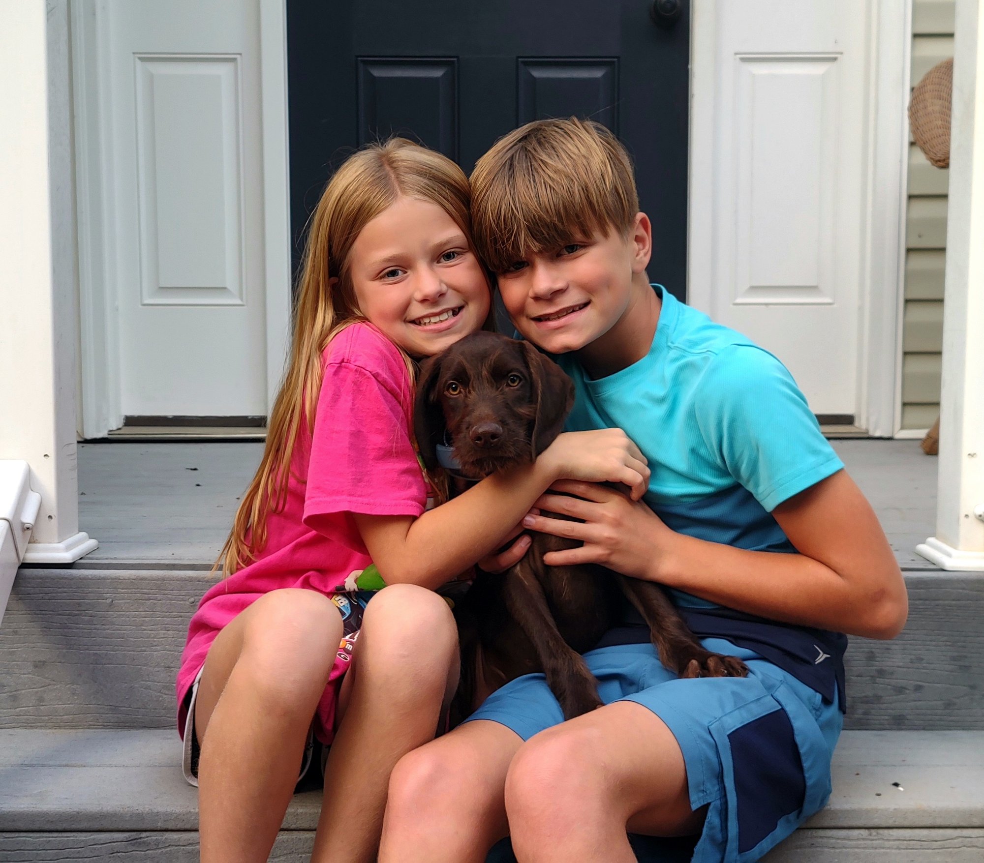 Testimonial Puppy (Tripp)