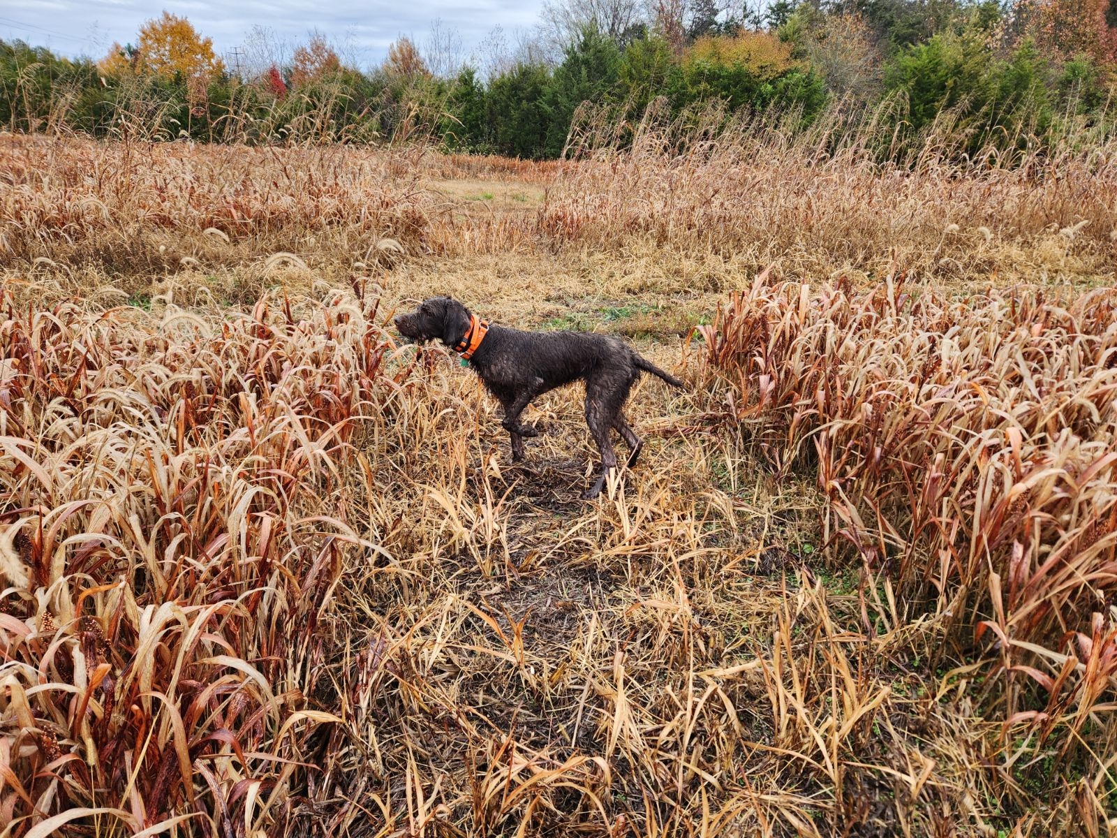 in_231110_18028553063_16154426959_bw__11171_1699631739_image000000.jpg (1)