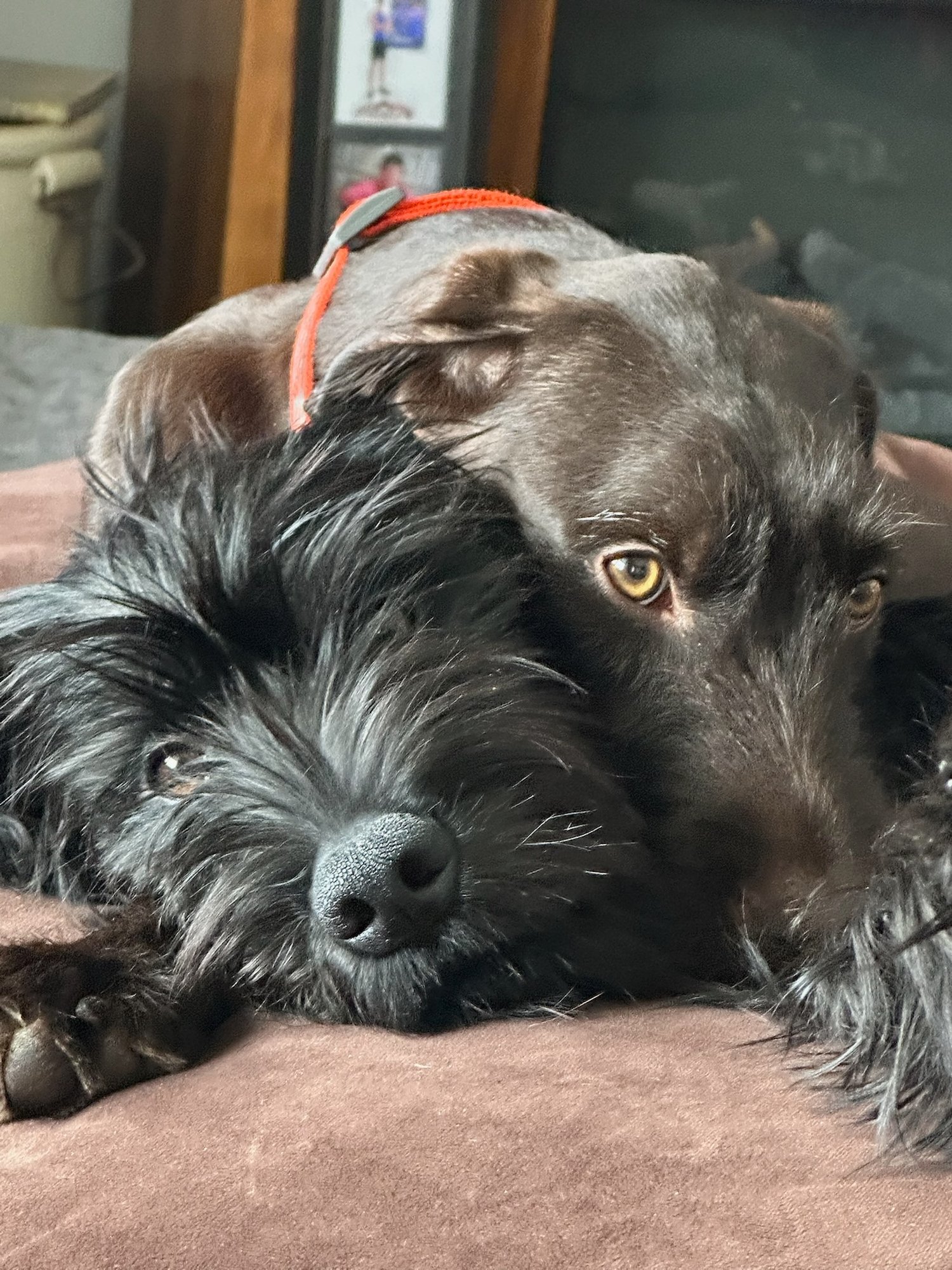 in_250504_16413251101_16154426959_bw__17031_1746383324_IMG_9064.jpg (1)