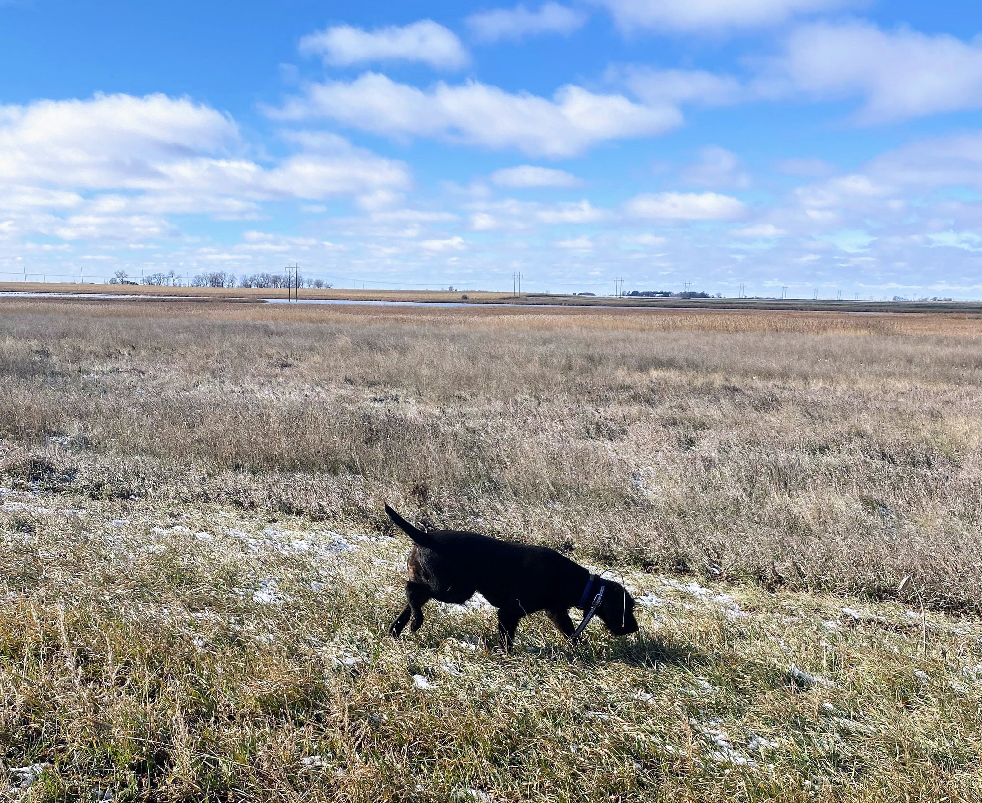 received_2274637209593316 (1)