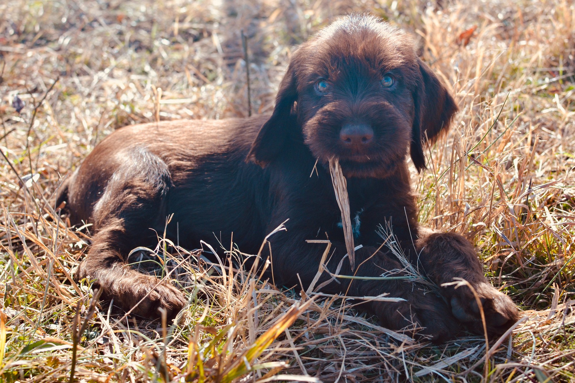 09554E17-8F02-4FBF-9805-14DEFFB90941_1_201_a