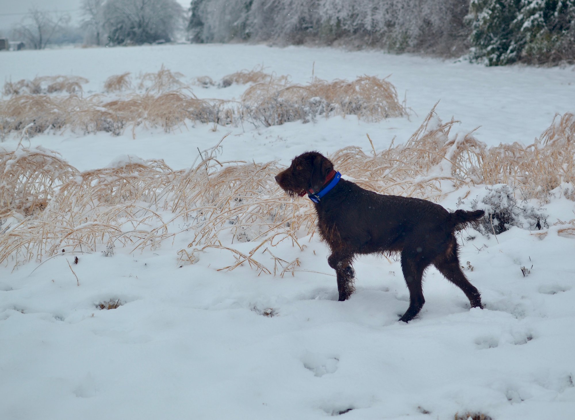 1527BE09-839E-4AA0-917A-6917C5BDAE19_1_201_a-1