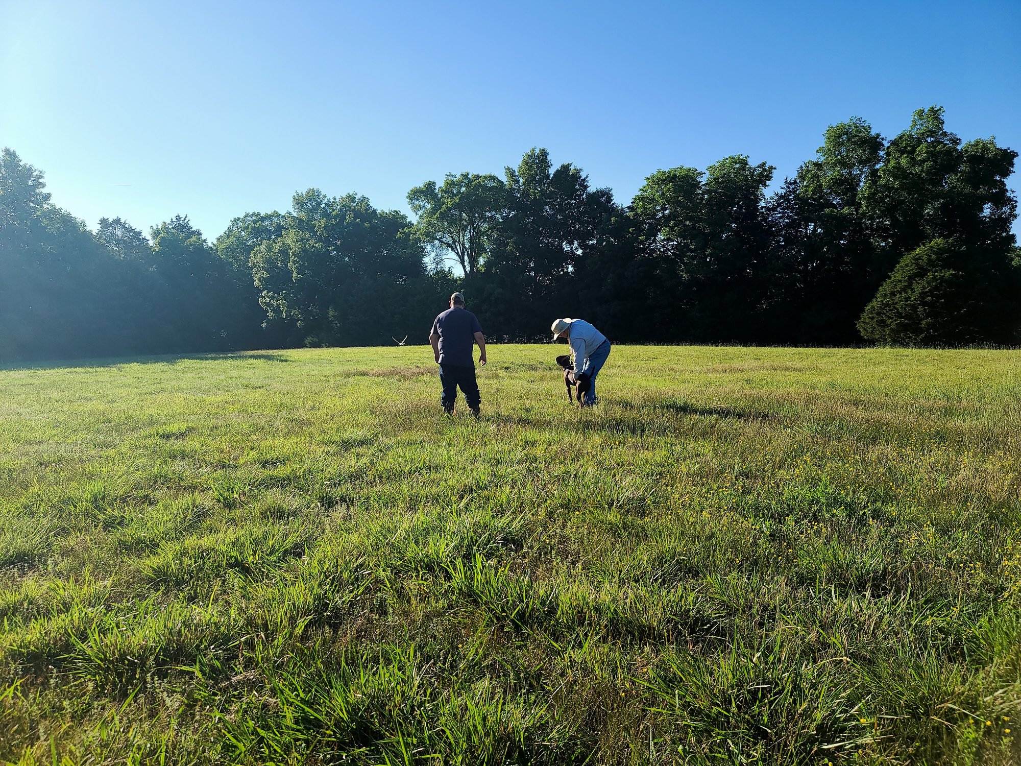 20210530_175356_01_exported_1631386146534