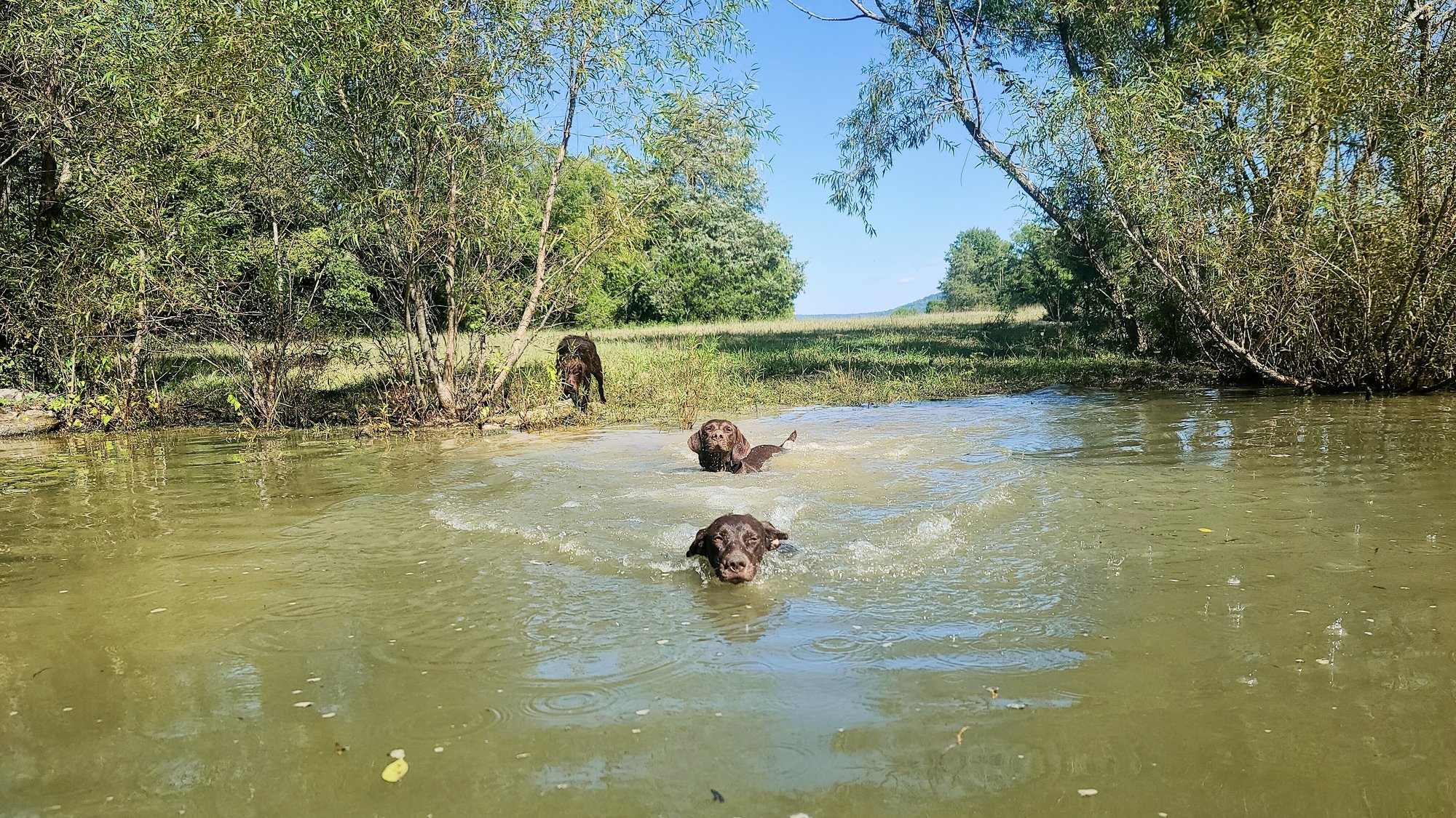 20210926_150413_03_saved