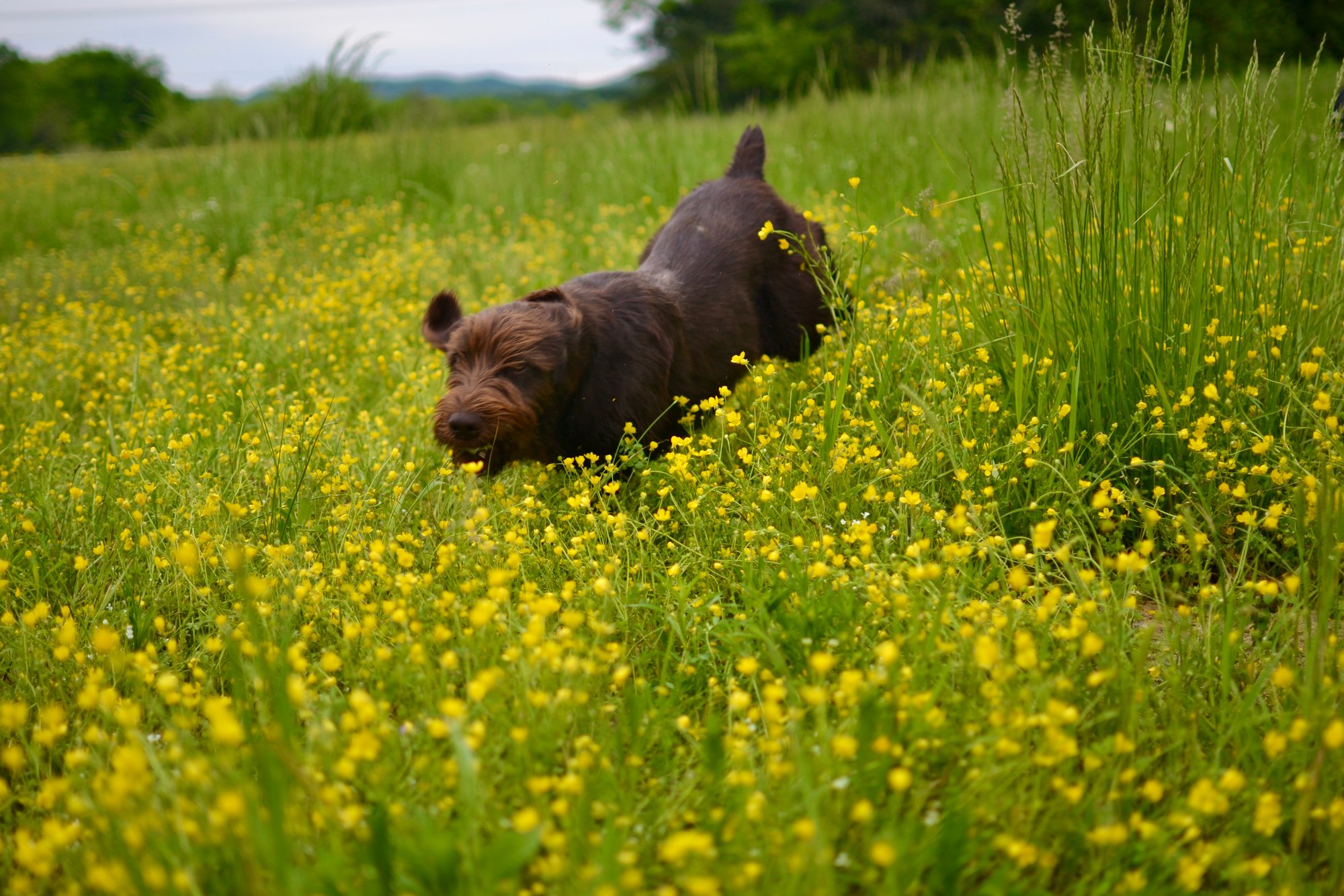 3F05A84D-C999-4341-A174-FDDD527DAF35_1_201_a