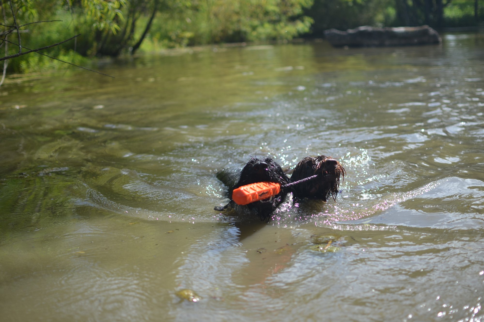 3F519562-6F74-45AA-AC27-51767E4470B1