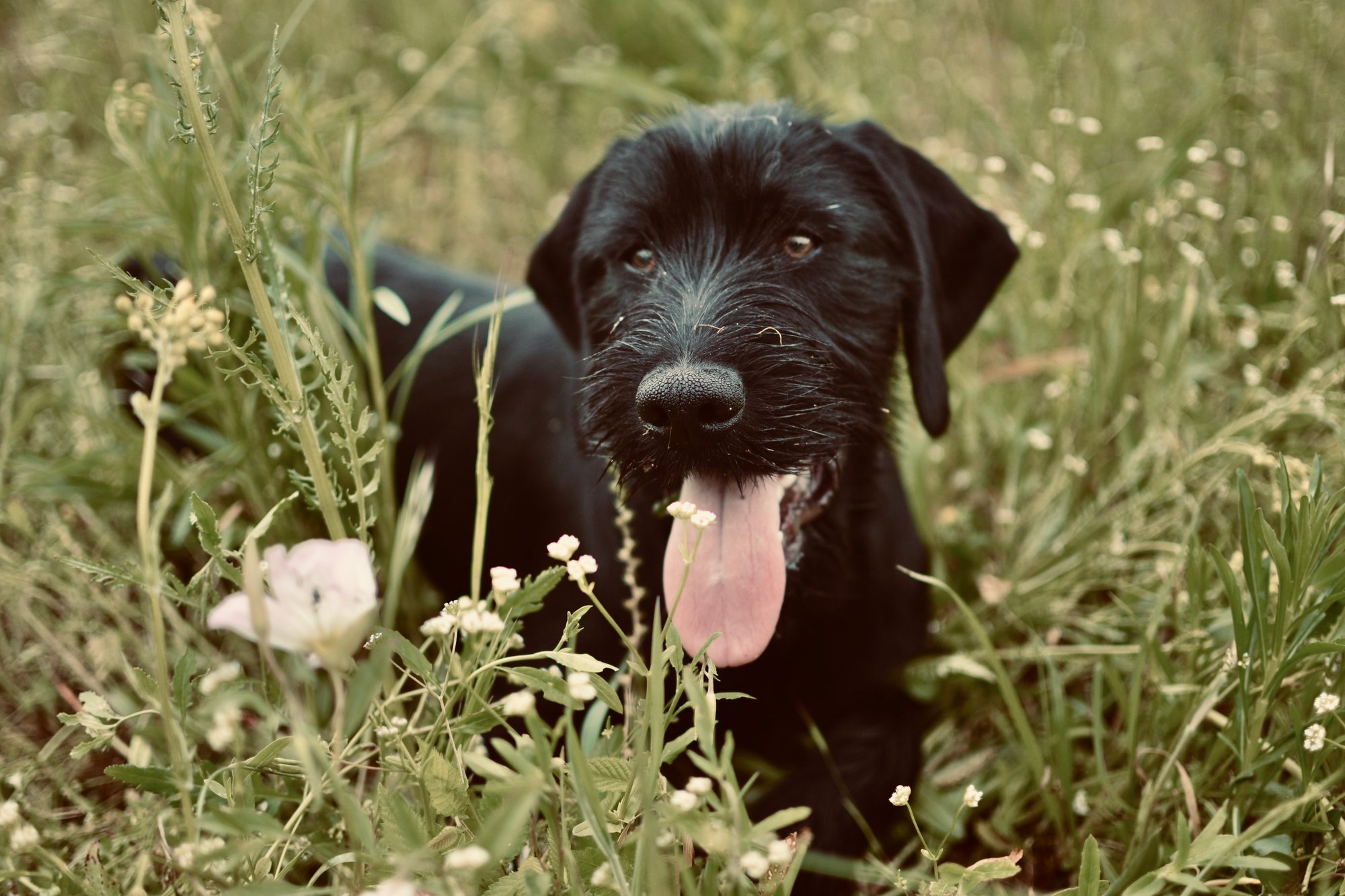 4B59BA13-559B-405A-AC36-72167BDB2BB3_1_201_a