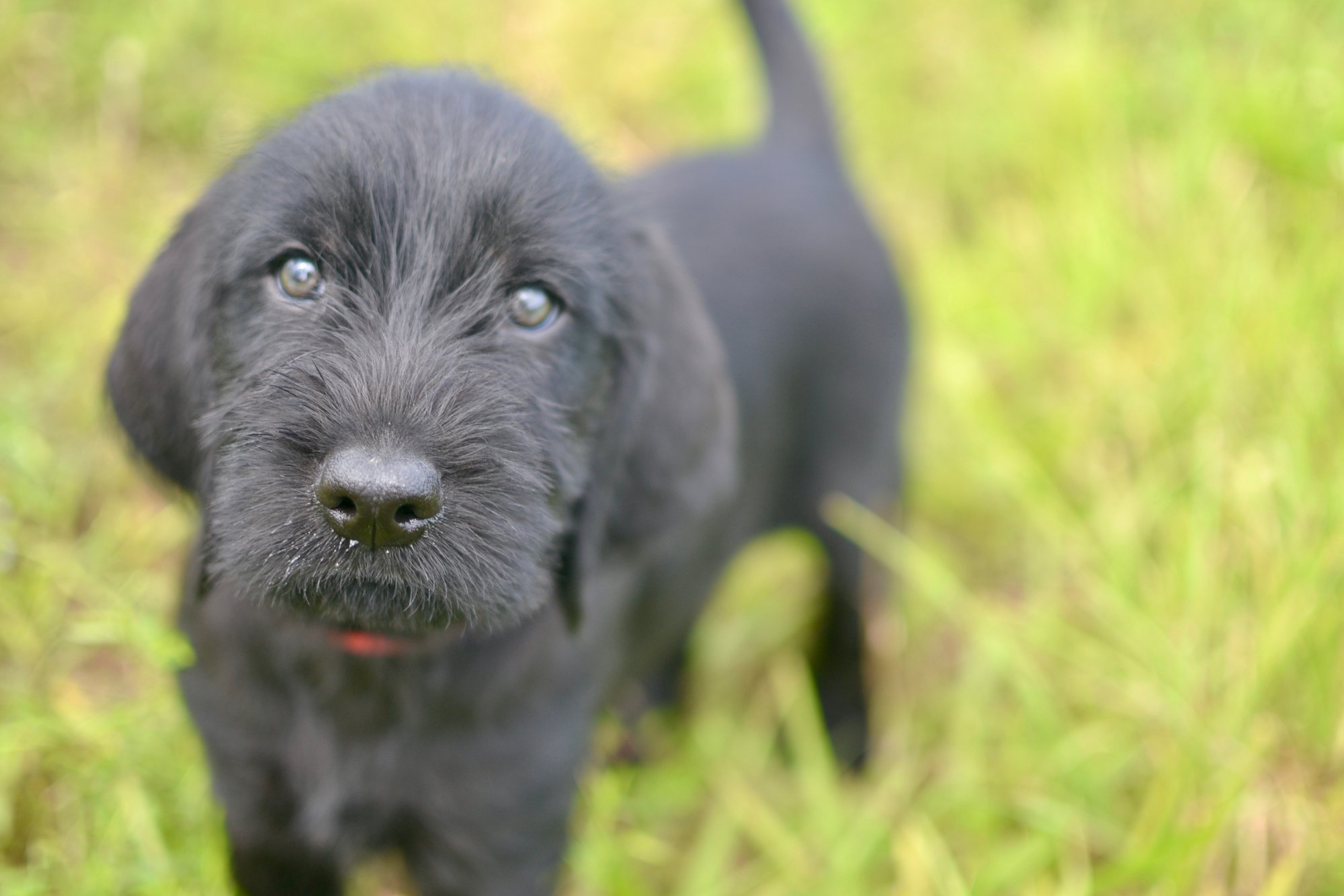 53F35CD0-3384-45E7-8C3D-4A86CB60BB9D_1_201_a