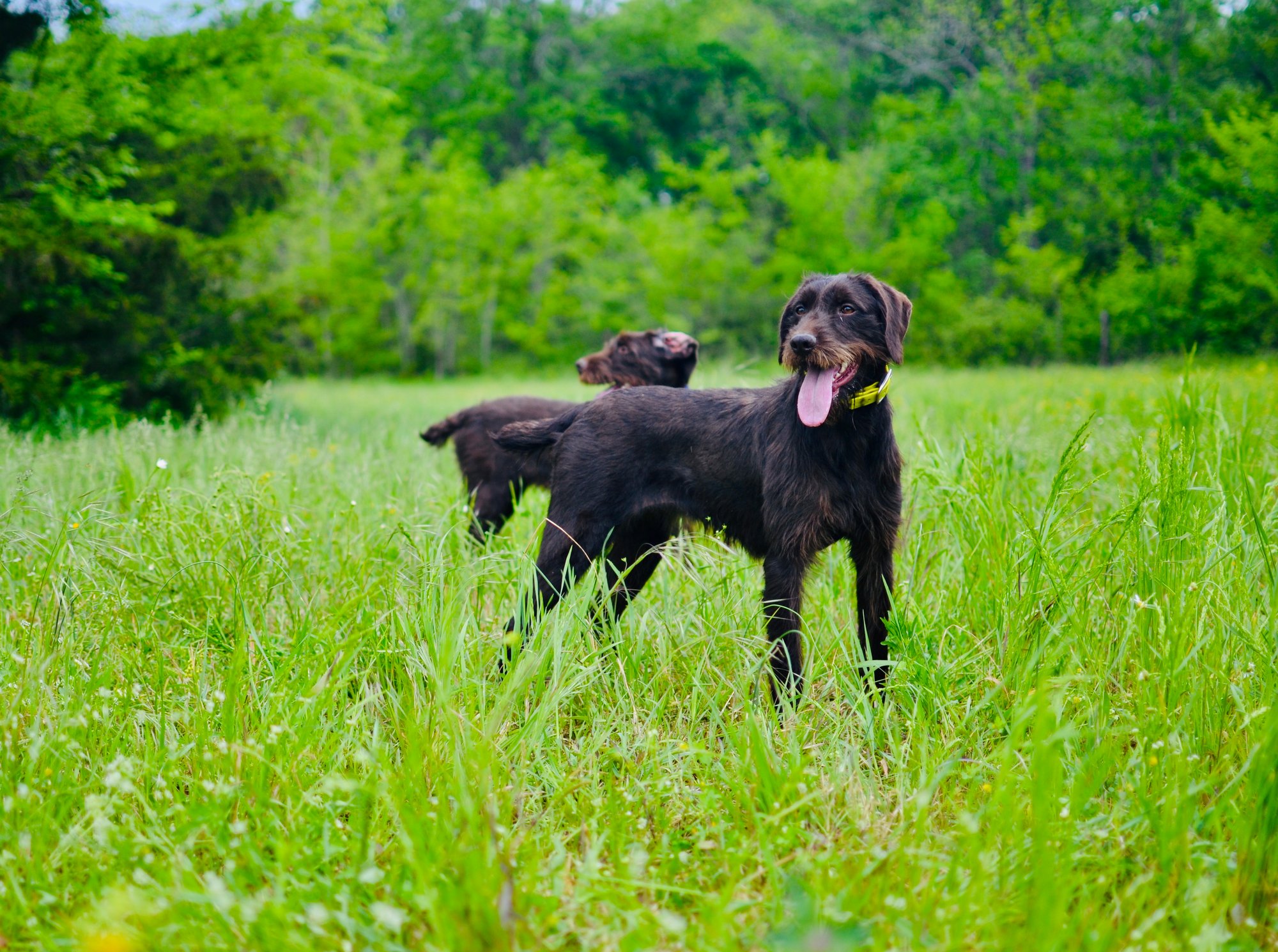 55414198-BA27-40FF-B635-B782FAD1522B_1_201_a