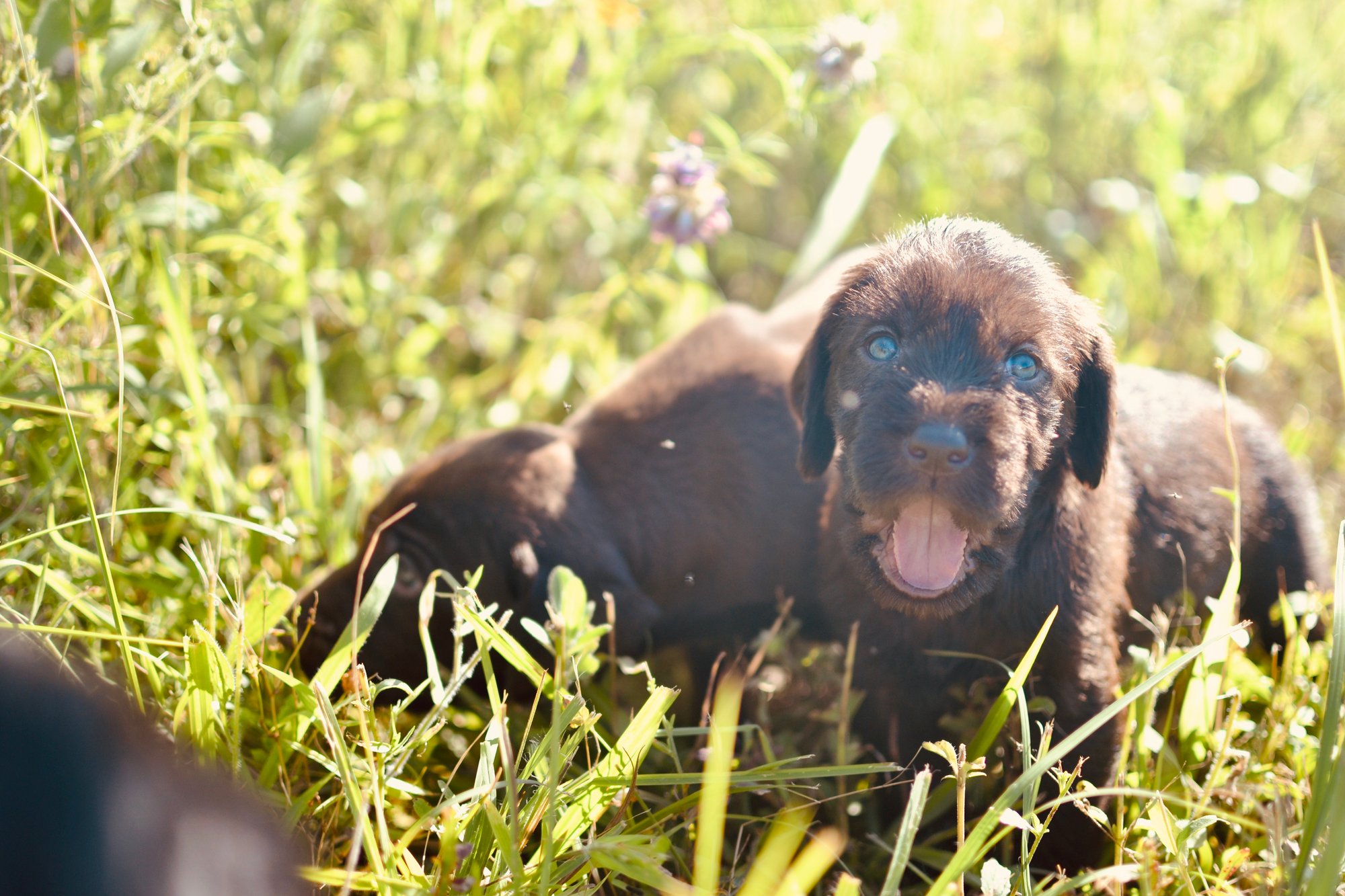 597E4433-8440-4D7F-9313-B44B61647F51_1_201_a