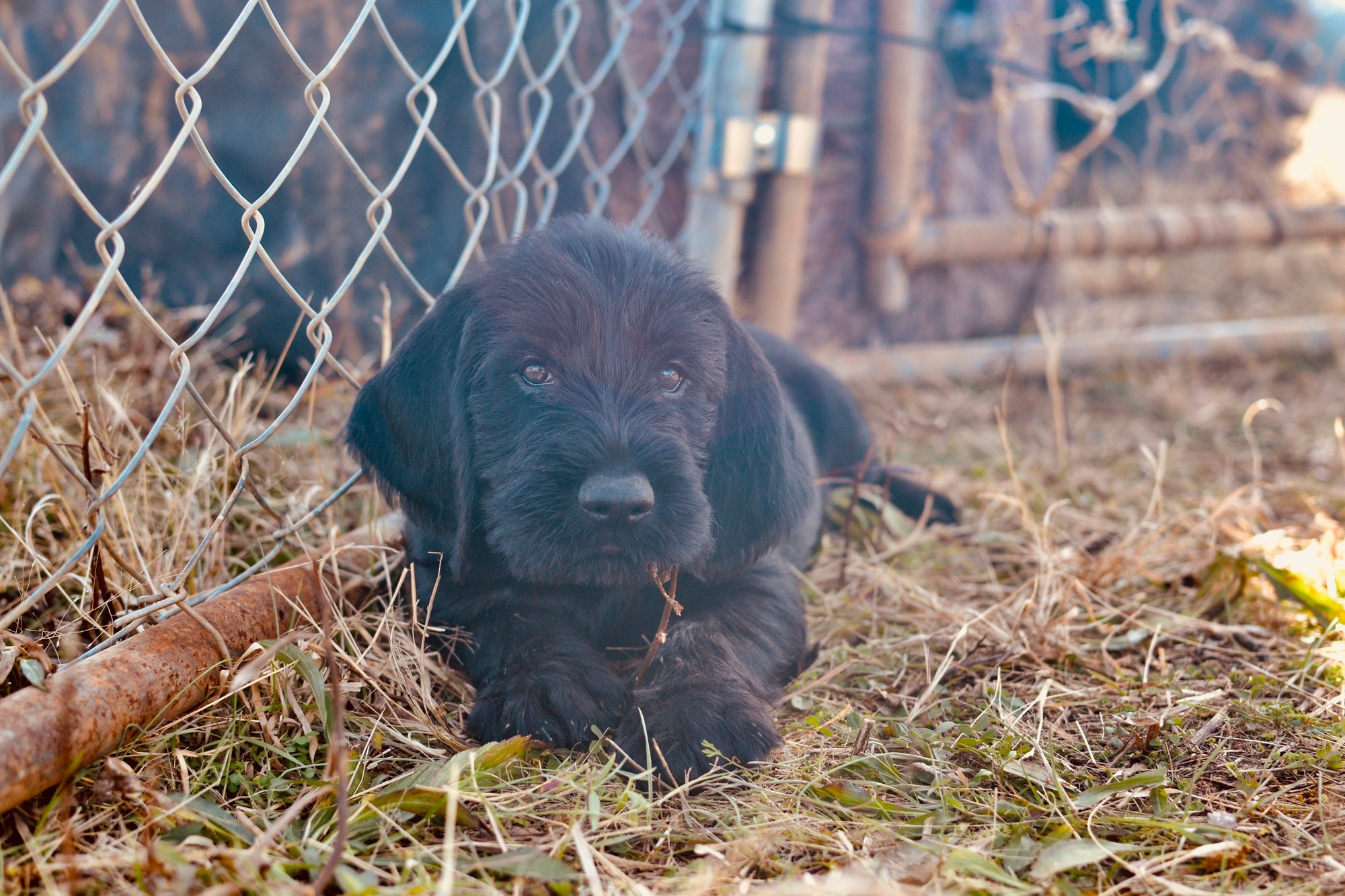 6577F4E4-AB3E-40E6-ACF5-F600CCC80F68_1_201_a