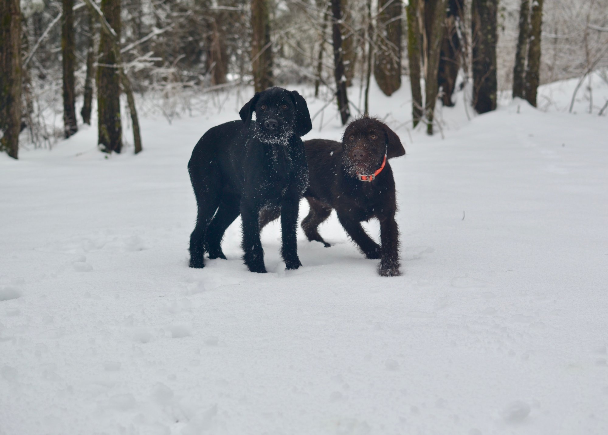 79DDAB4B-09B7-4CC6-A545-BDD5413DB327_1_201_a