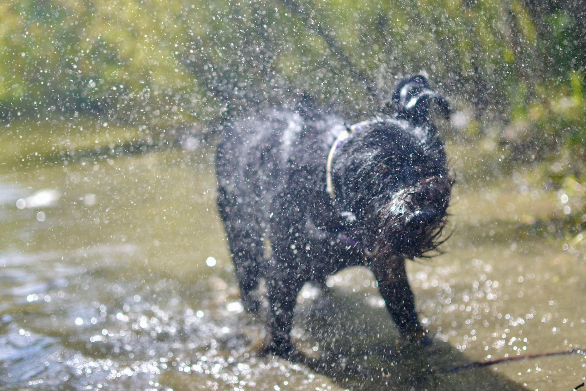 833F05CC-6B45-4881-A5EF-216054A87610_1_201_a