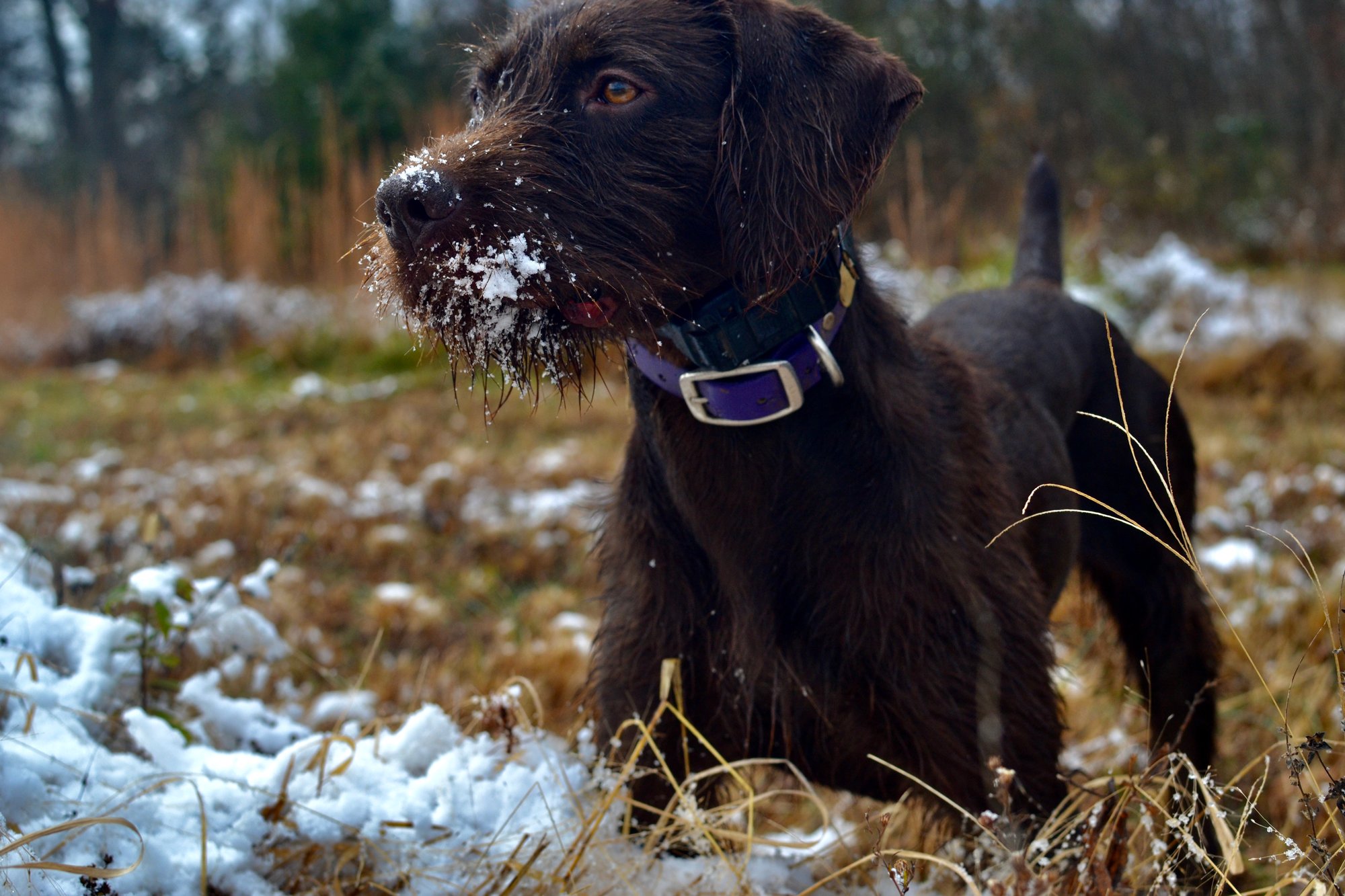 8351A139-5771-4180-B3D9-35594C0A78EB_1_201_a