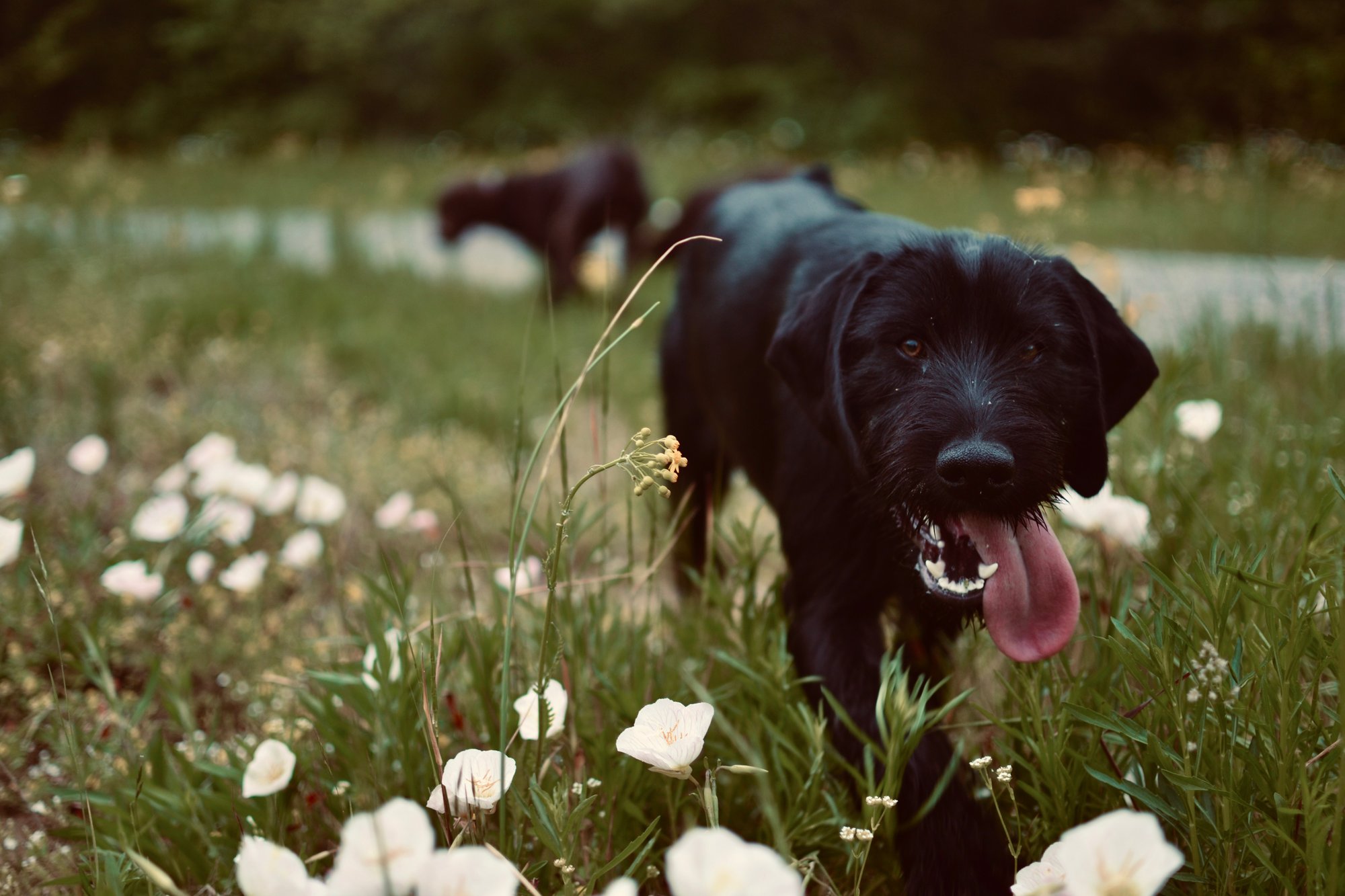 9212F3DD-7B04-4585-BAAC-E30FAE56A21B_1_201_a