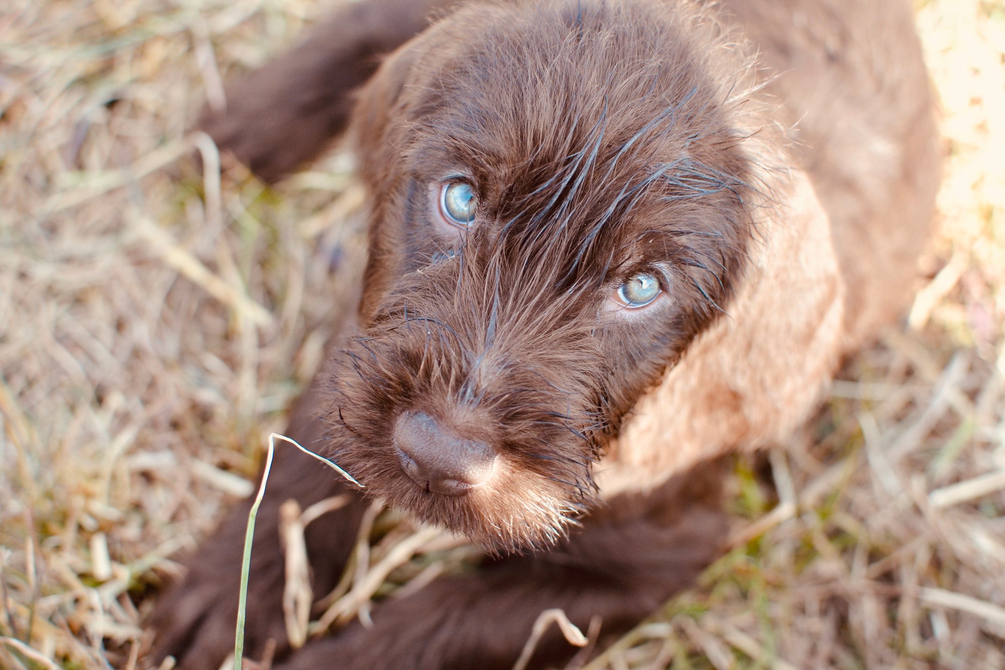 9334F771-0241-4985-B536-4E1B49979216_1_201_a