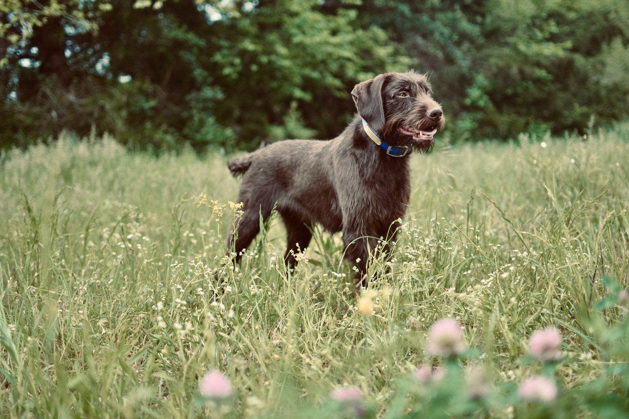 94ADEB7B-D8CB-49FD-AFBF-B11DAB116EFE_1_201_a