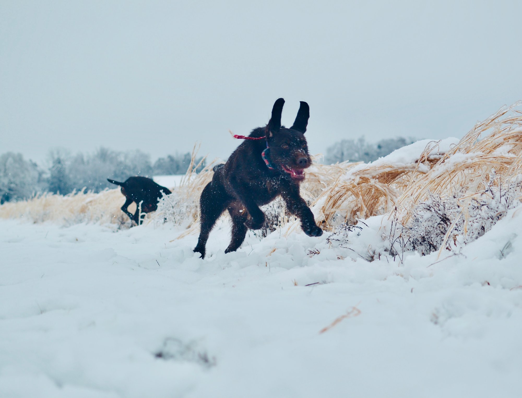 9F250349-81D4-49EF-8E58-DABD51D7B74C_1_201_a