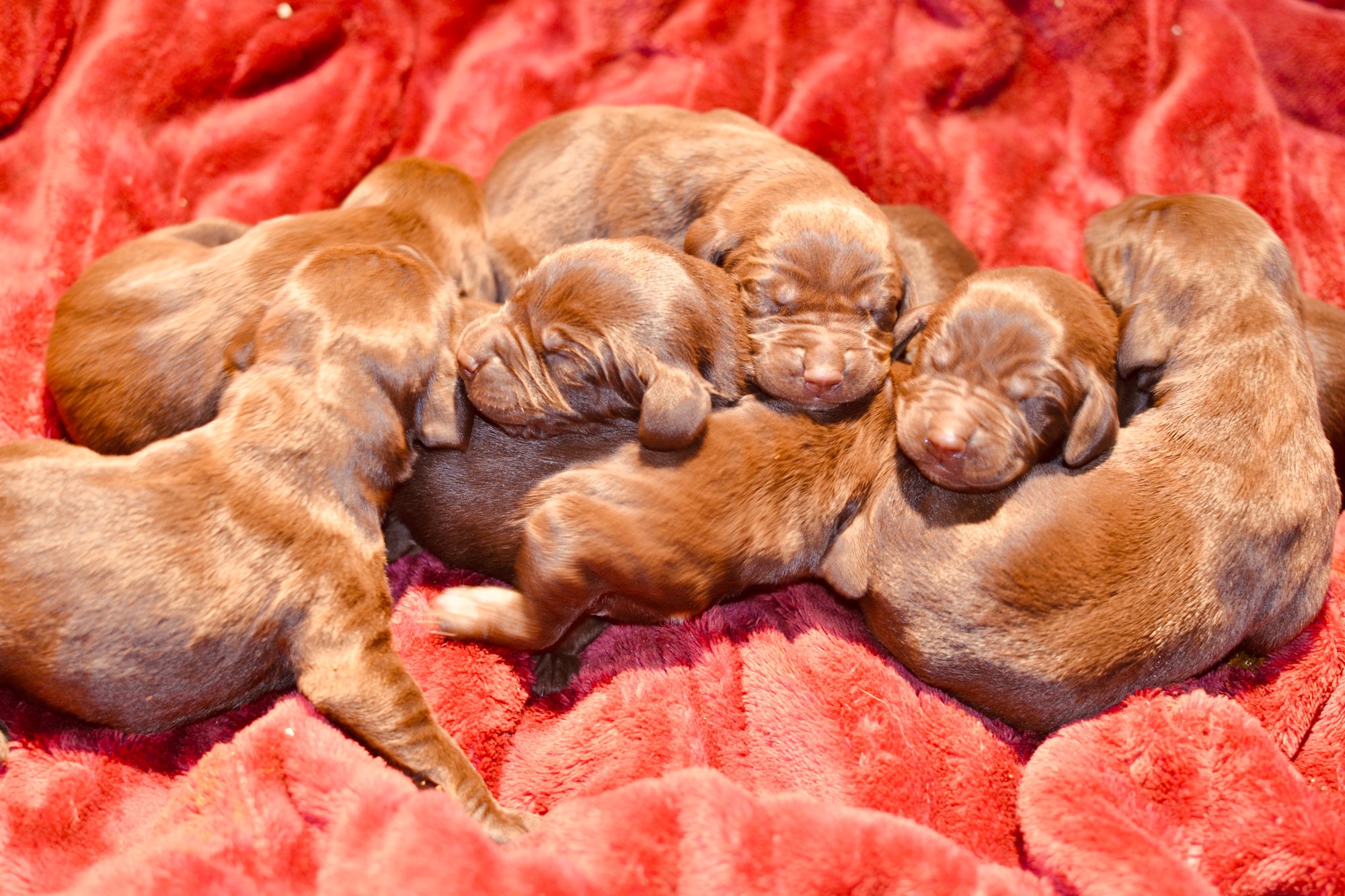 B2A6C519-C785-4DE5-A77D-580EC59A97A7_1_201_a