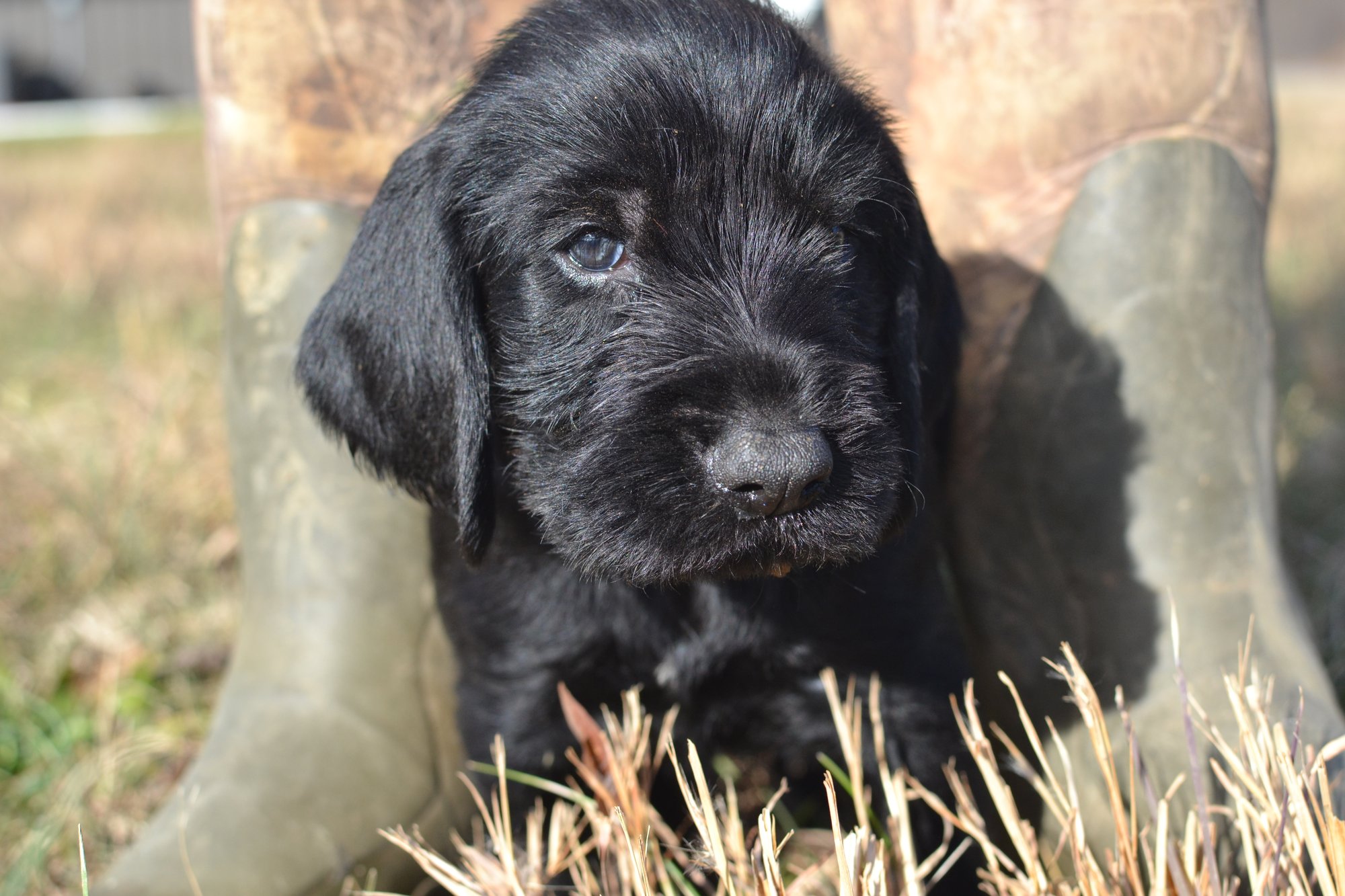 C725AABB-8580-47CE-97AB-FFED59958081