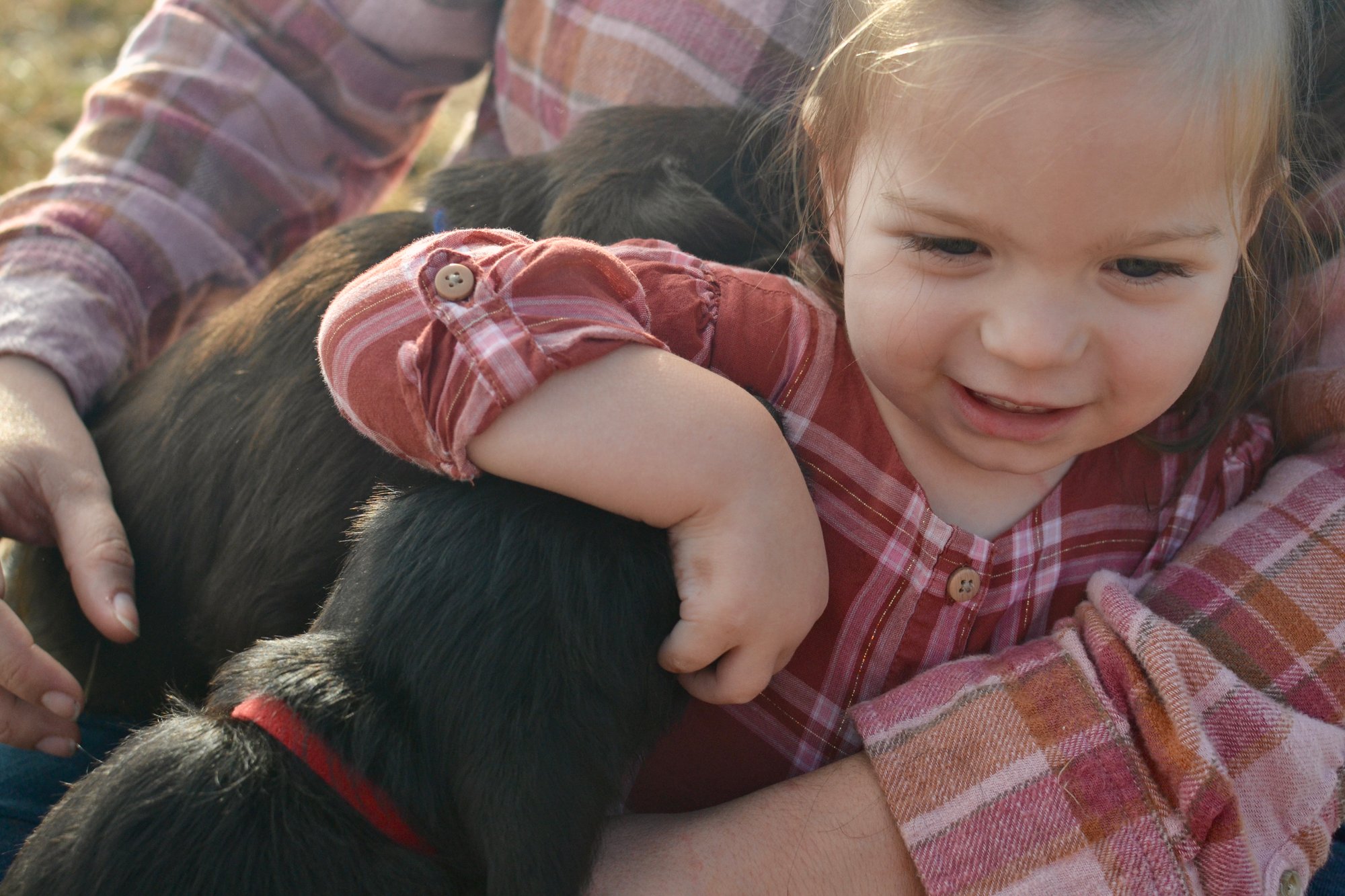 CF864D0A-BEAA-49B5-A869-BDC88821BEBD_1_201_a