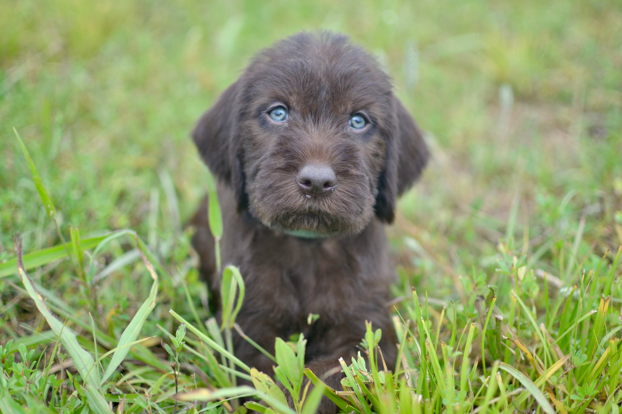 F89D25A0-F973-410D-8870-8EC9A3346094_1_201_a