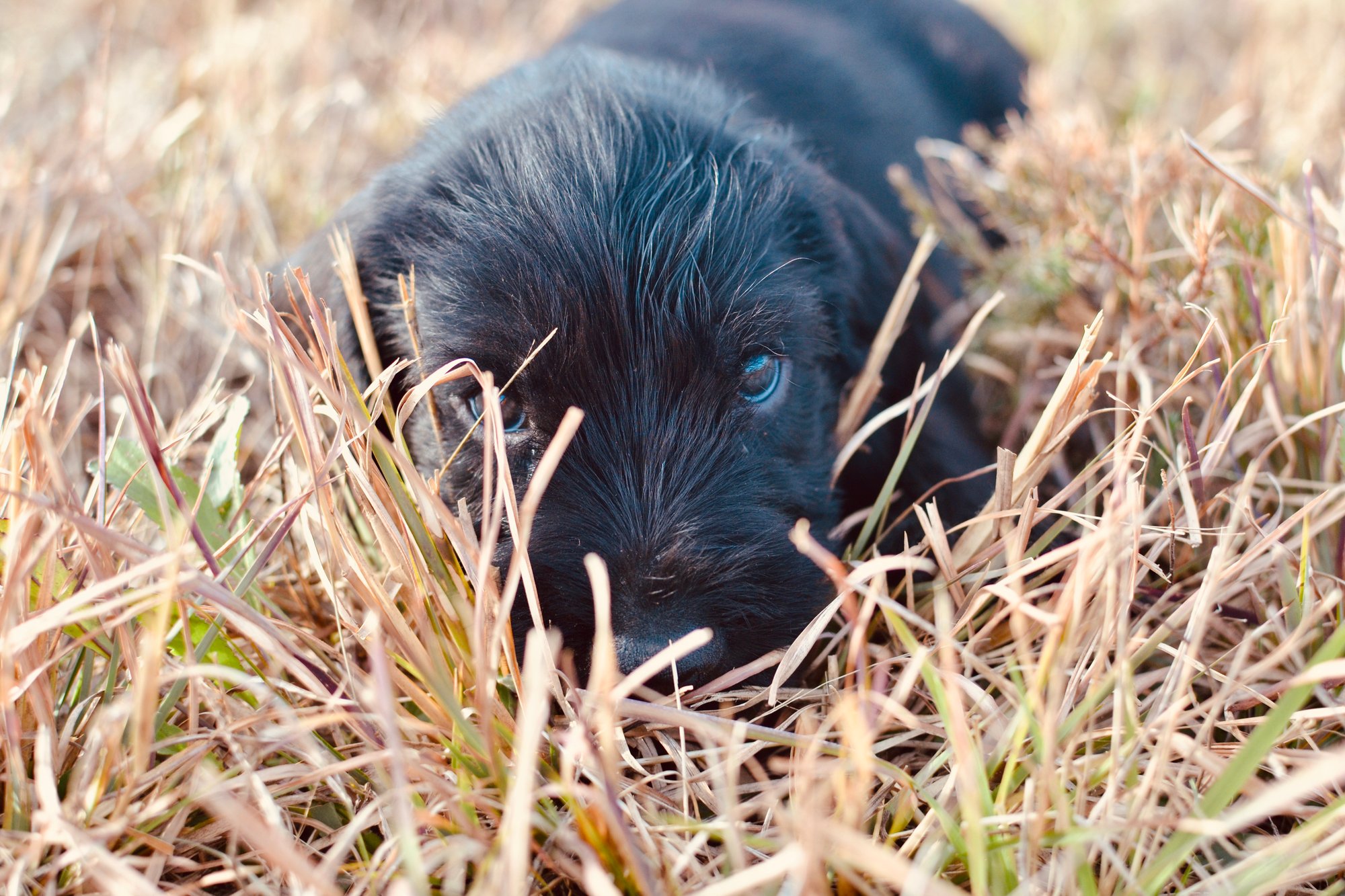 F912BE8D-53AC-4765-ACA0-29EF73BBF7BE_1_201_a