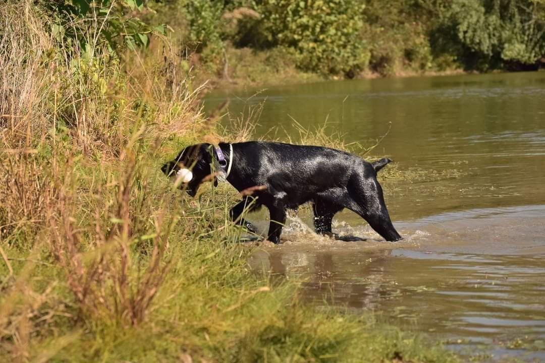 FB_IMG_1634251668354-1