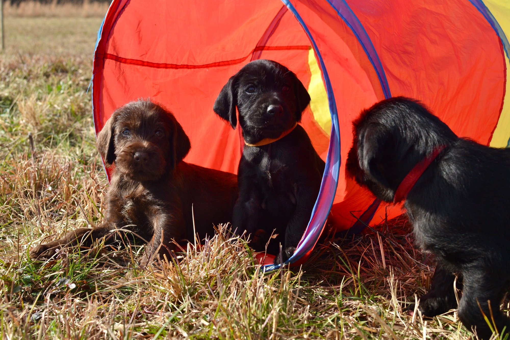 FE098D1B-8869-4118-9C8A-5C98CA15B372_1_201_a