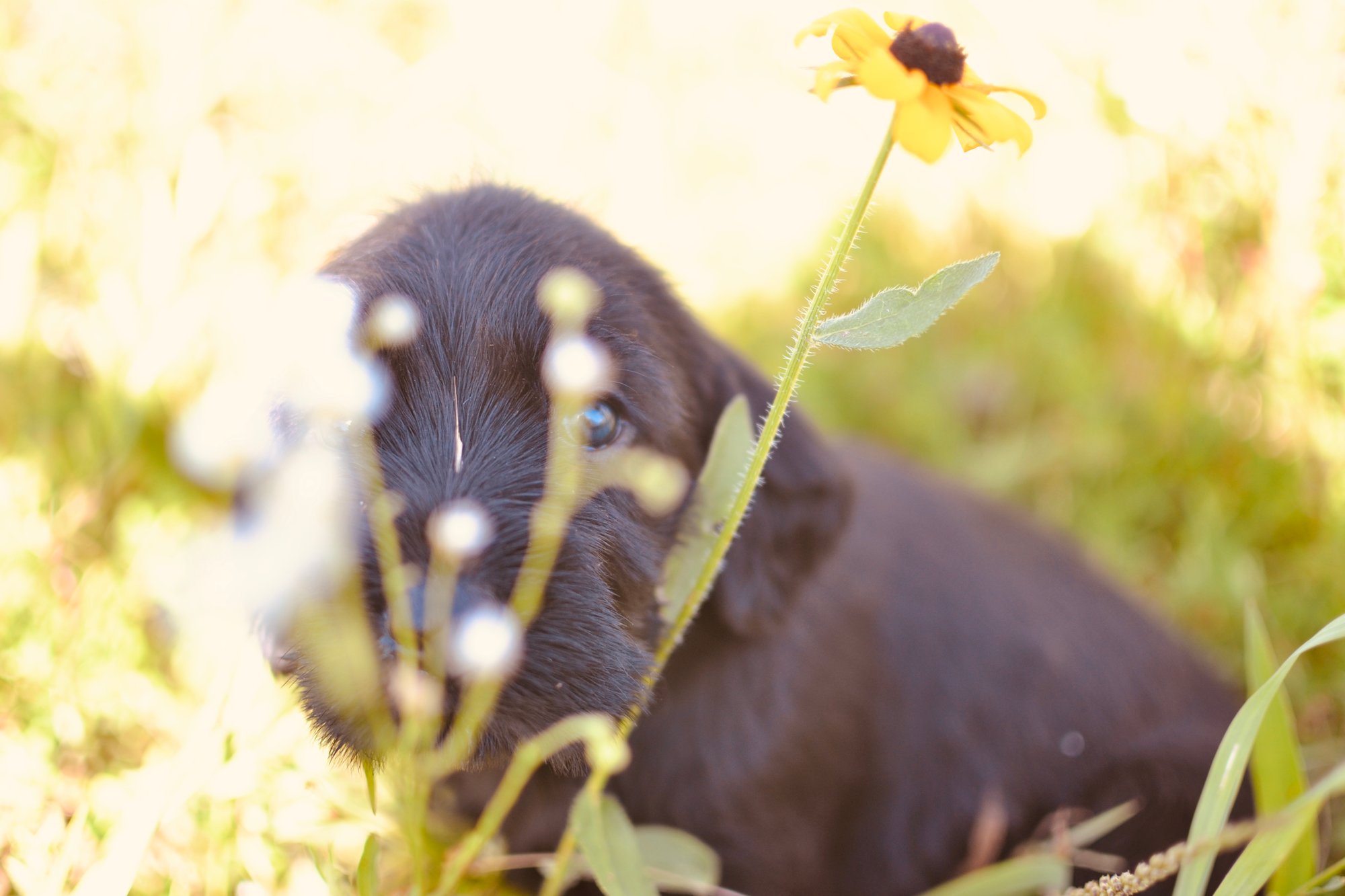 FE7A0FDB-3ECF-434F-892F-DF96402BF487_1_201_a