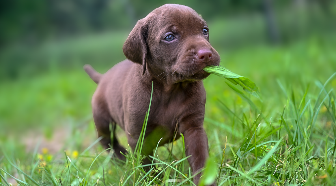 Screenshot 2025-05-10 151435