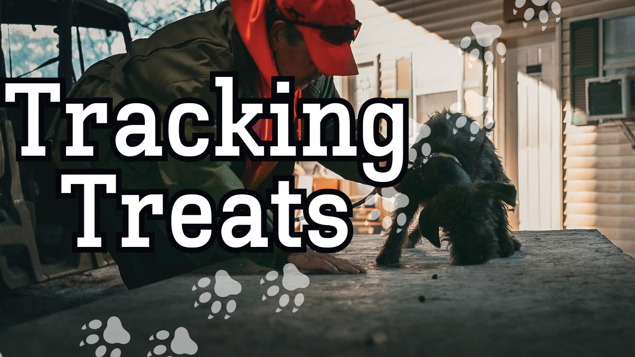Tracking Treats