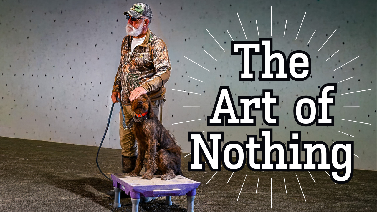 The Art of Nothing