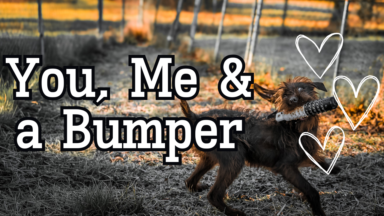 You, Me & a Bumper