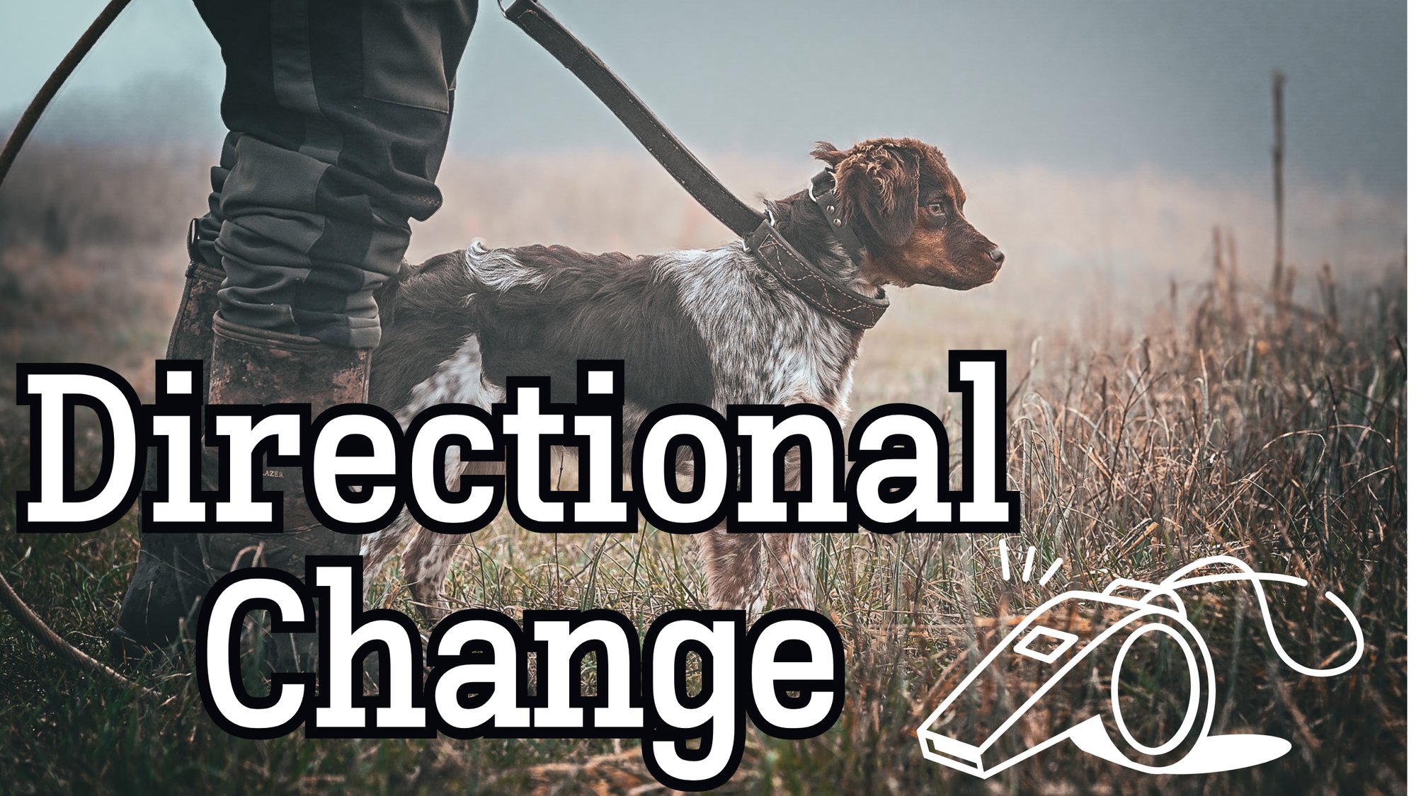 Directional Change