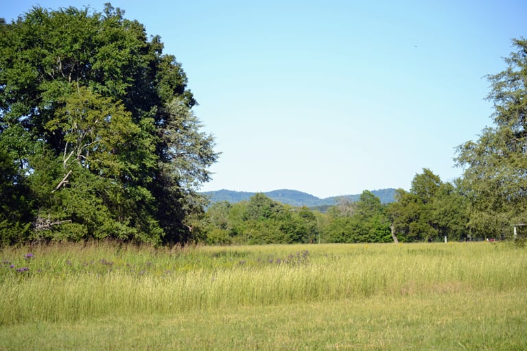 Training Fields