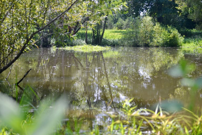 Training Pond