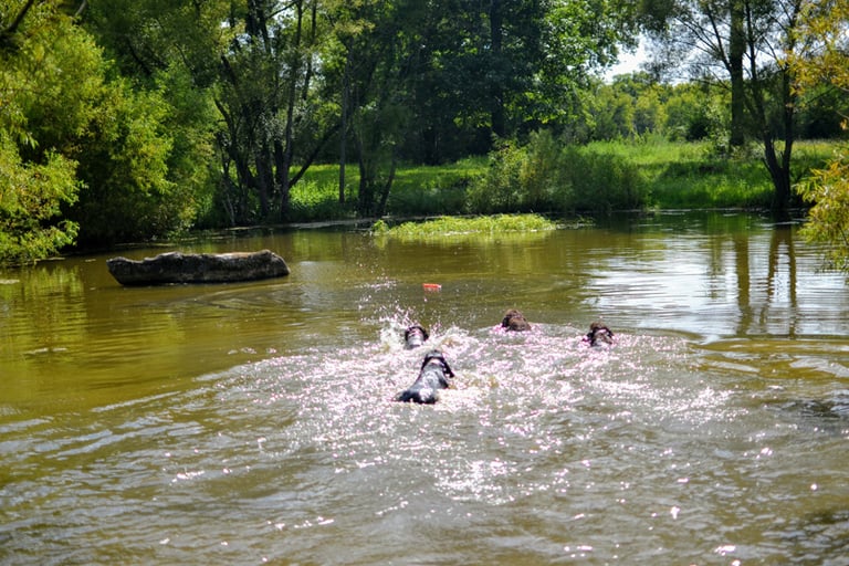 Training Pond